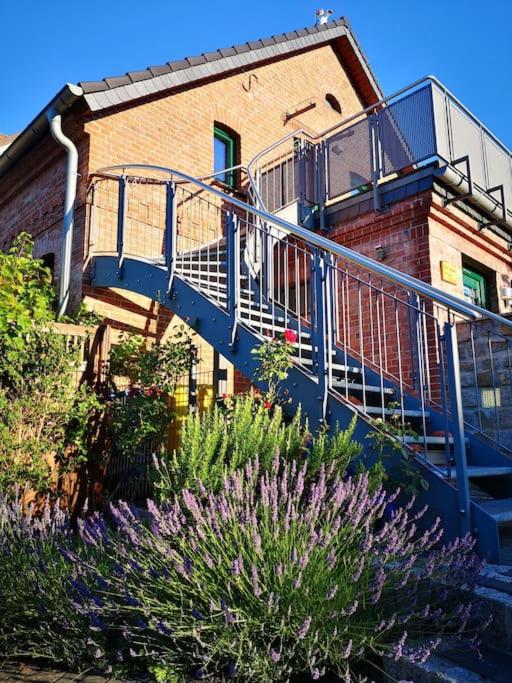 Ferienwohnung im Vogelhaus mit Dachterasse und großem Garten