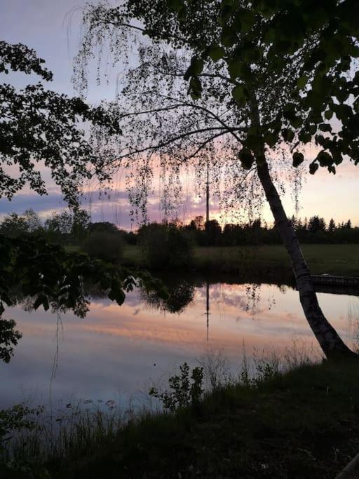 Ferienwohnung im Vogelhaus mit Dachterasse und großem Garten