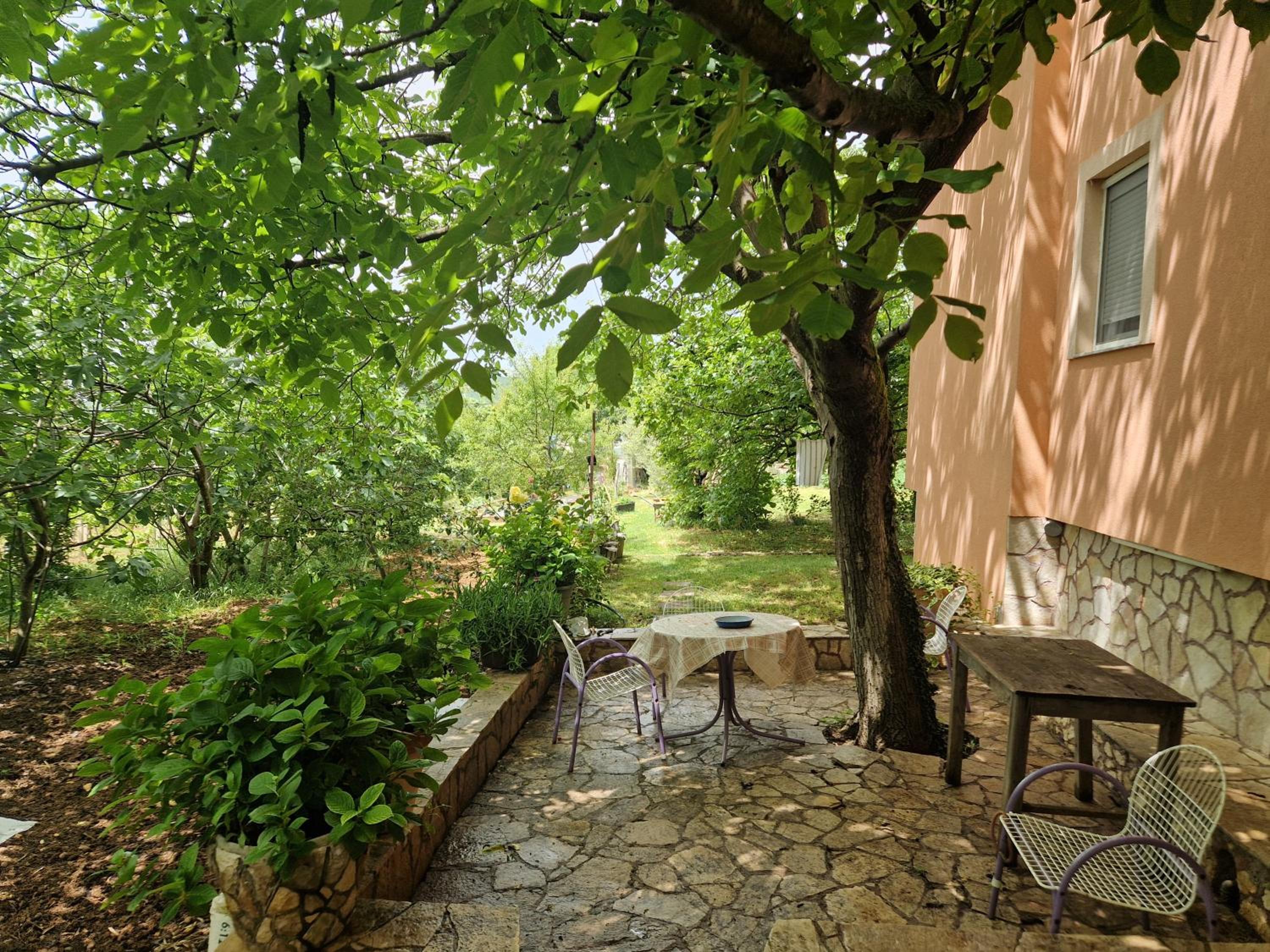 Vineyard House