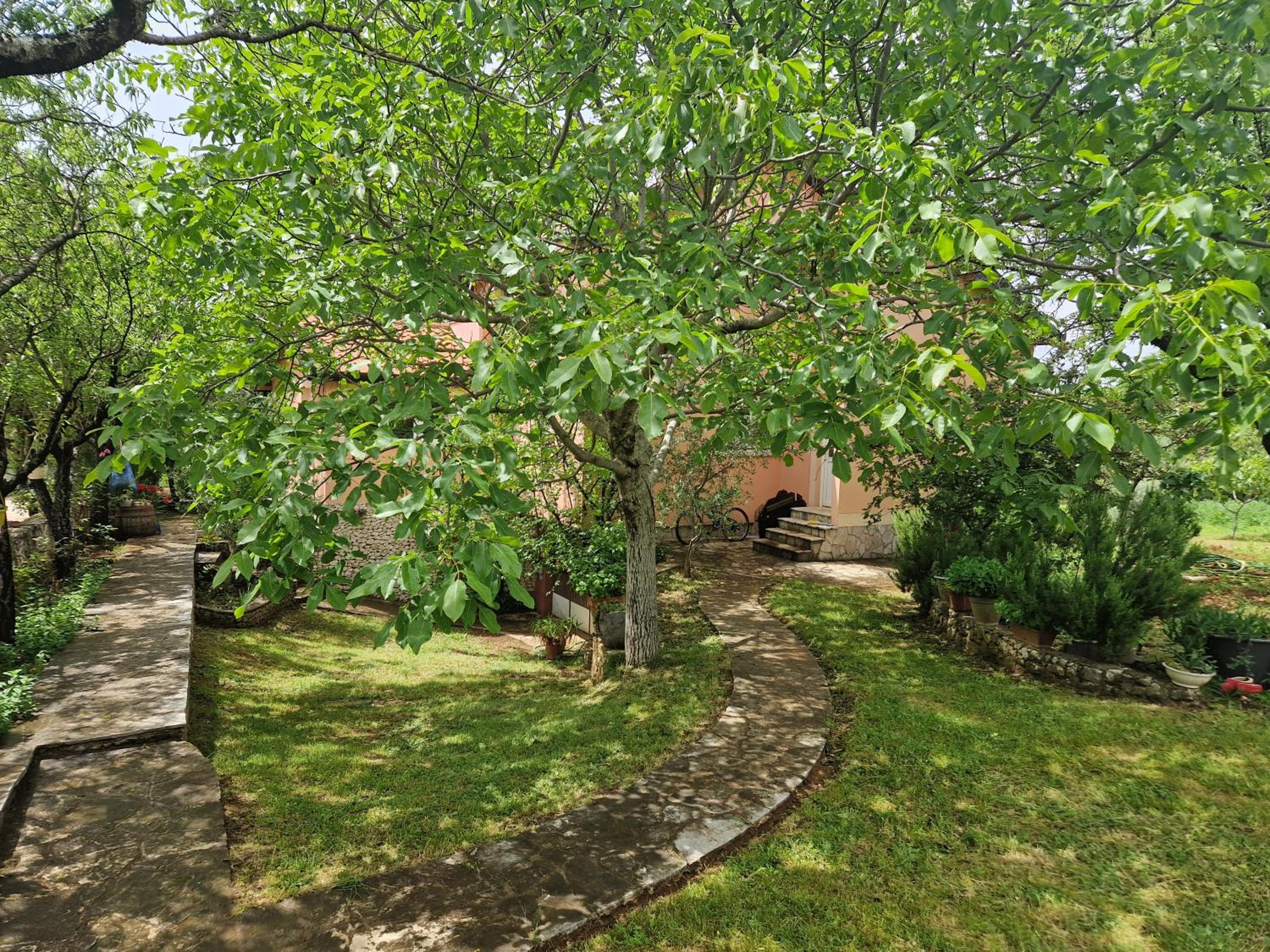 Vineyard House