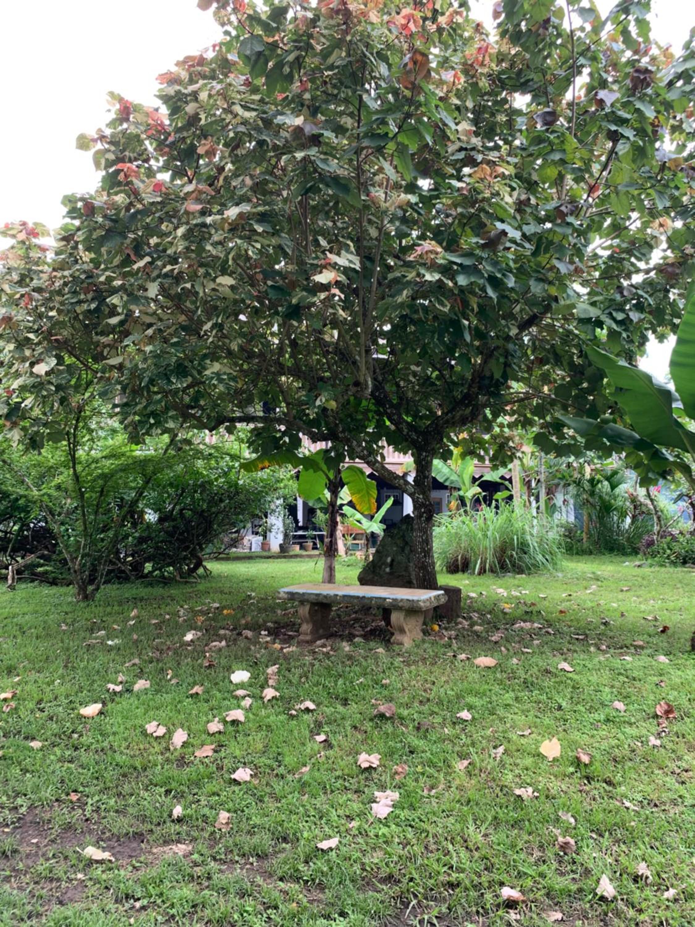 Coquira Soil Project - Property Image 12