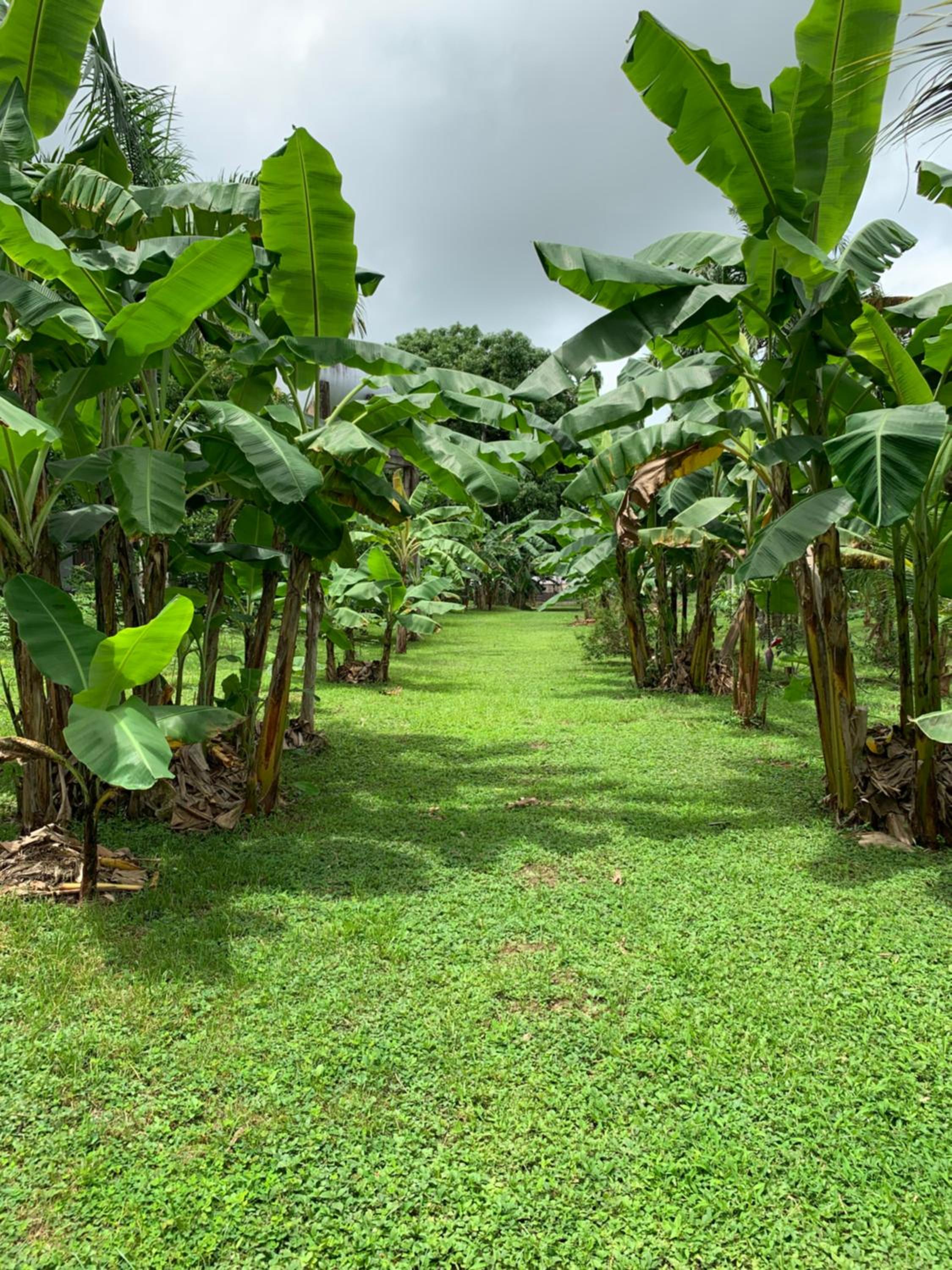 Coquira Soil Project - Property Image 13