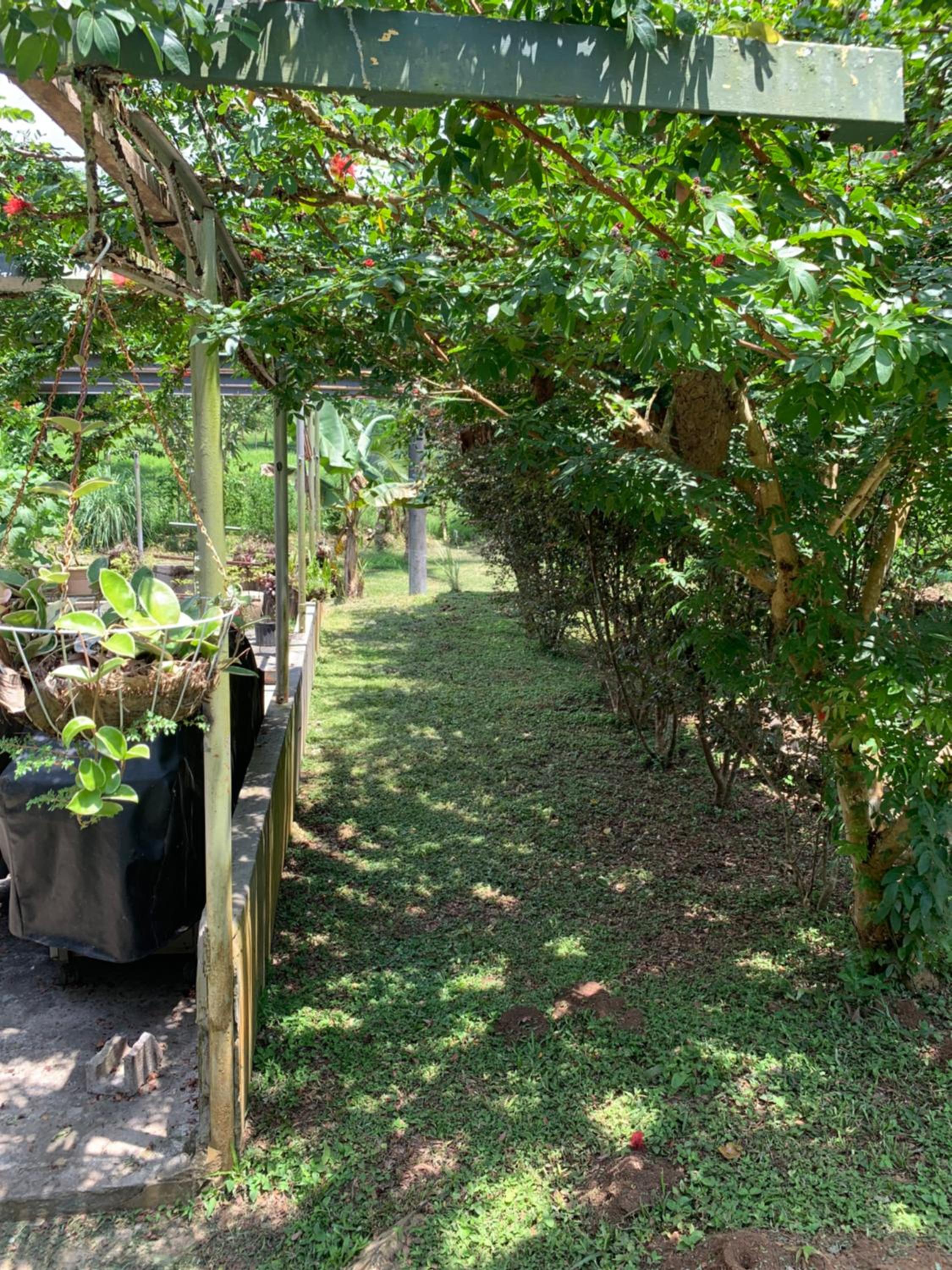 Coquira Soil Project - Property Image 2