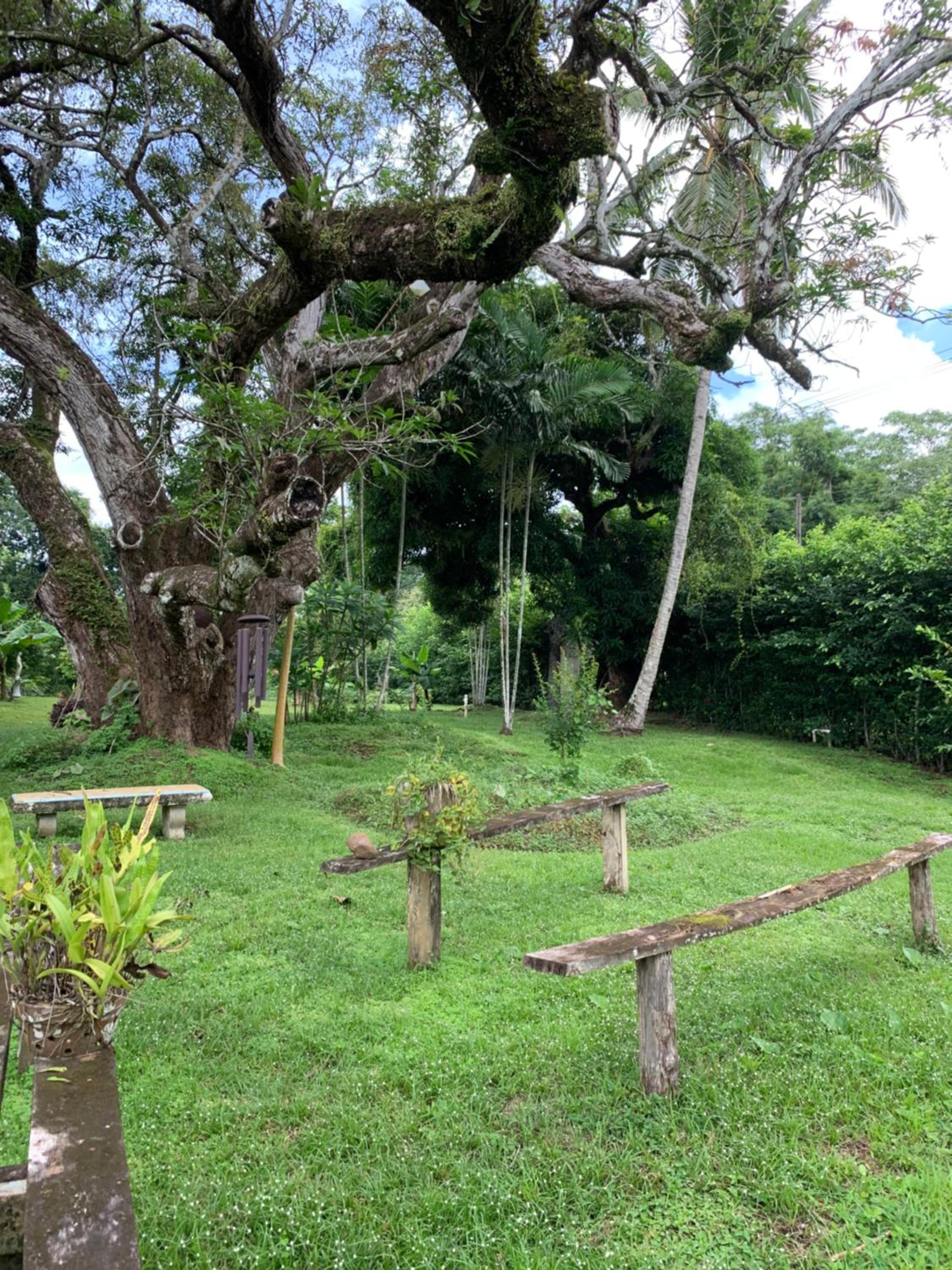 Coquira Soil Project - Property Image 15