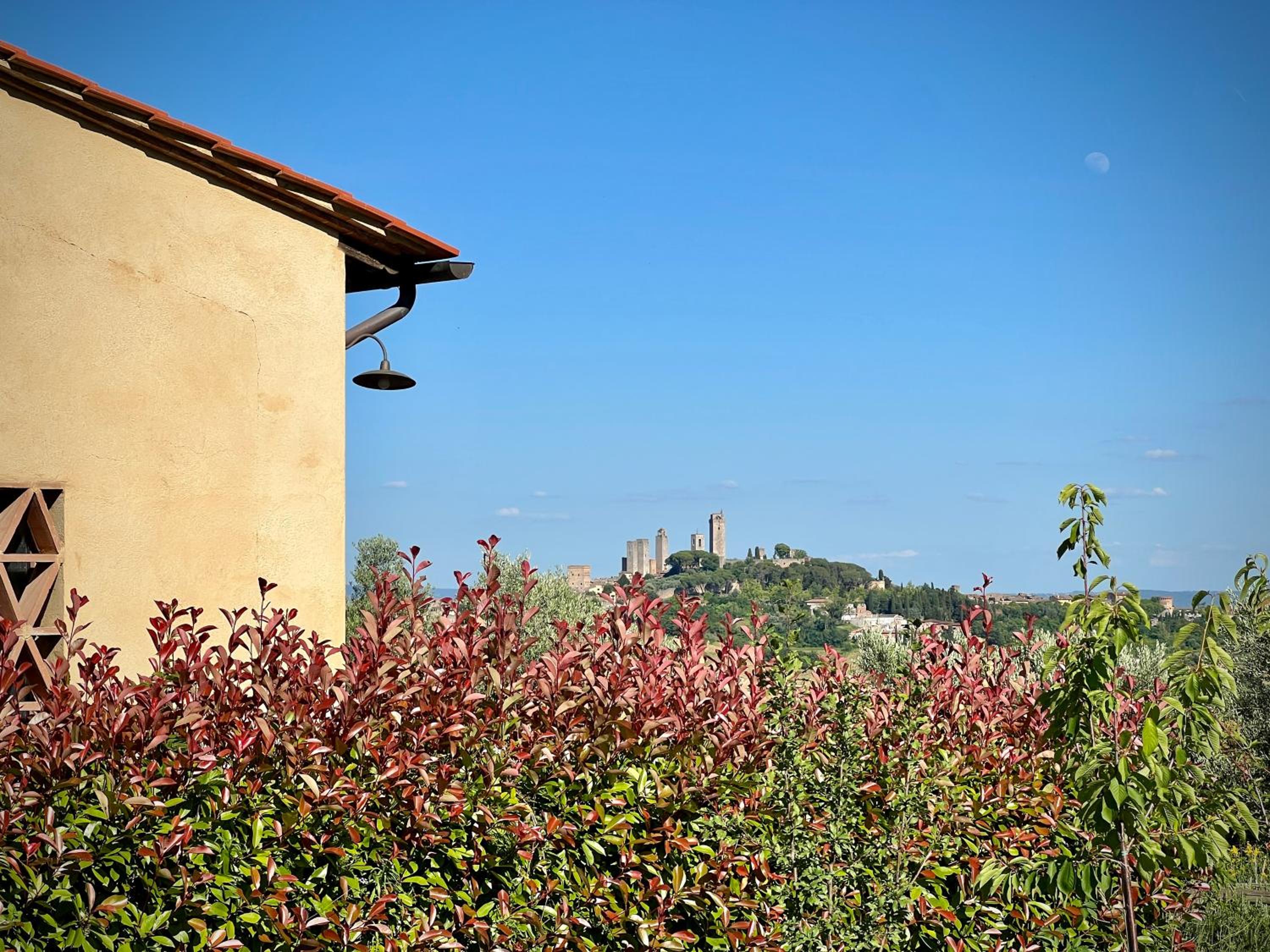 Casina agli Ulivi - Tuscan Country House photo 4