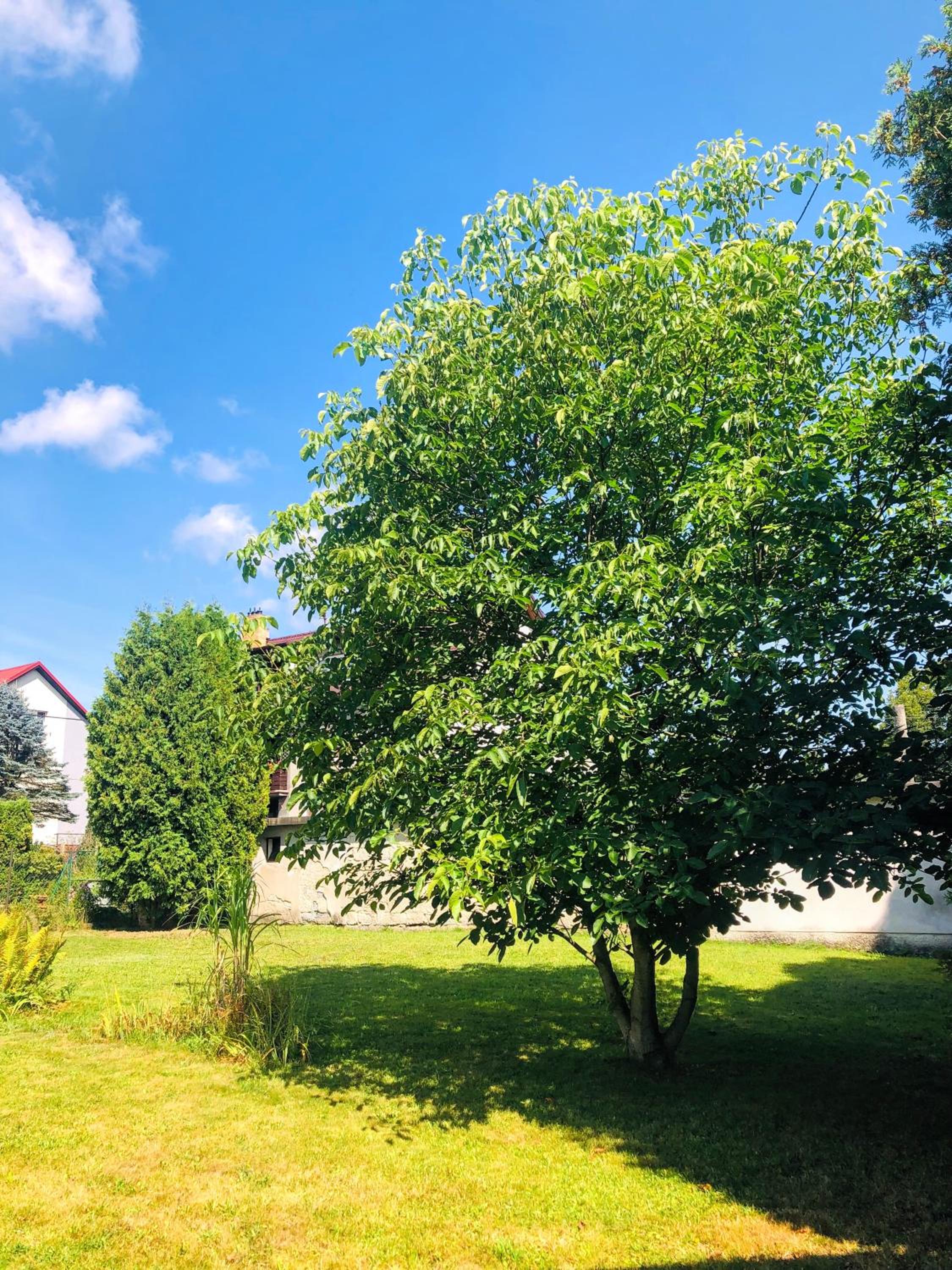 Apartmány Zelená Hora s velkou zahradou