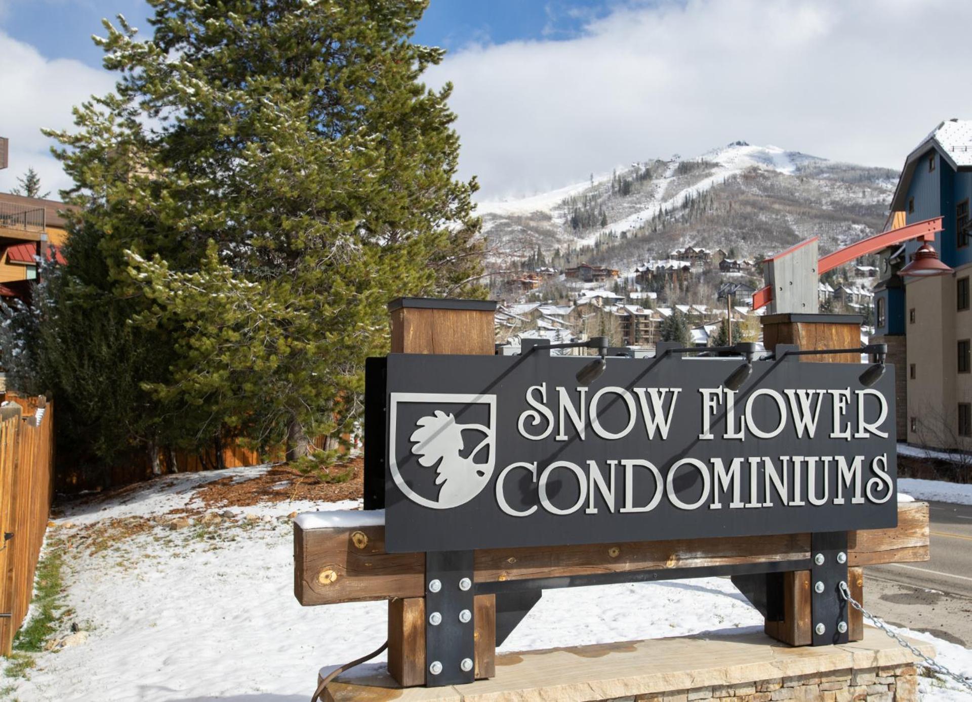 Snow Flower 204 -REDUCED RATES- Pool, Hot Tub, Balcony with Views, Steps to Gondolas, Restaurants view 5