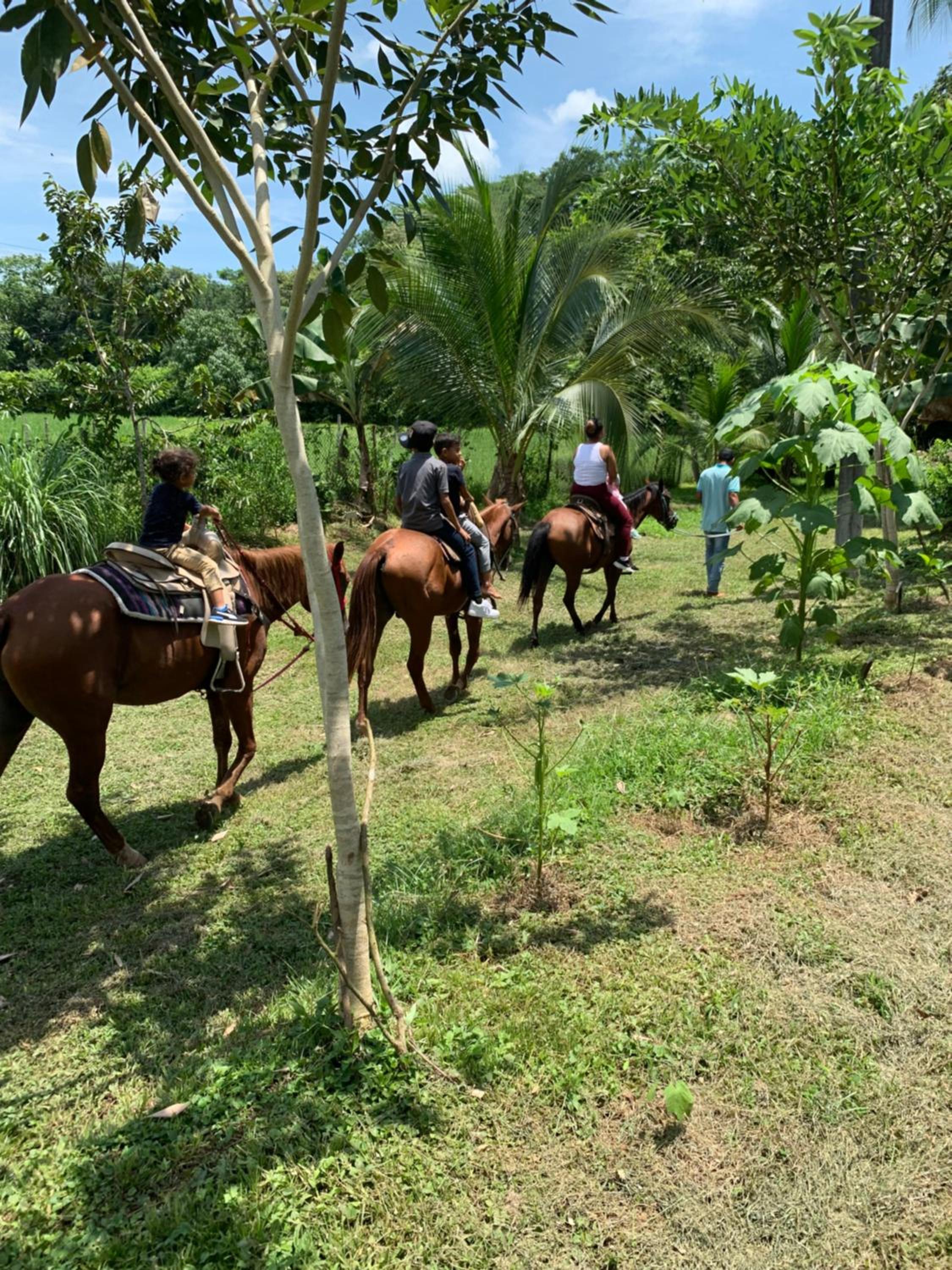 Coquira Soil Project - Property Image 10
