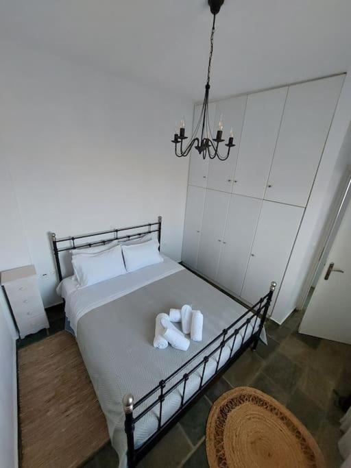Skepano house