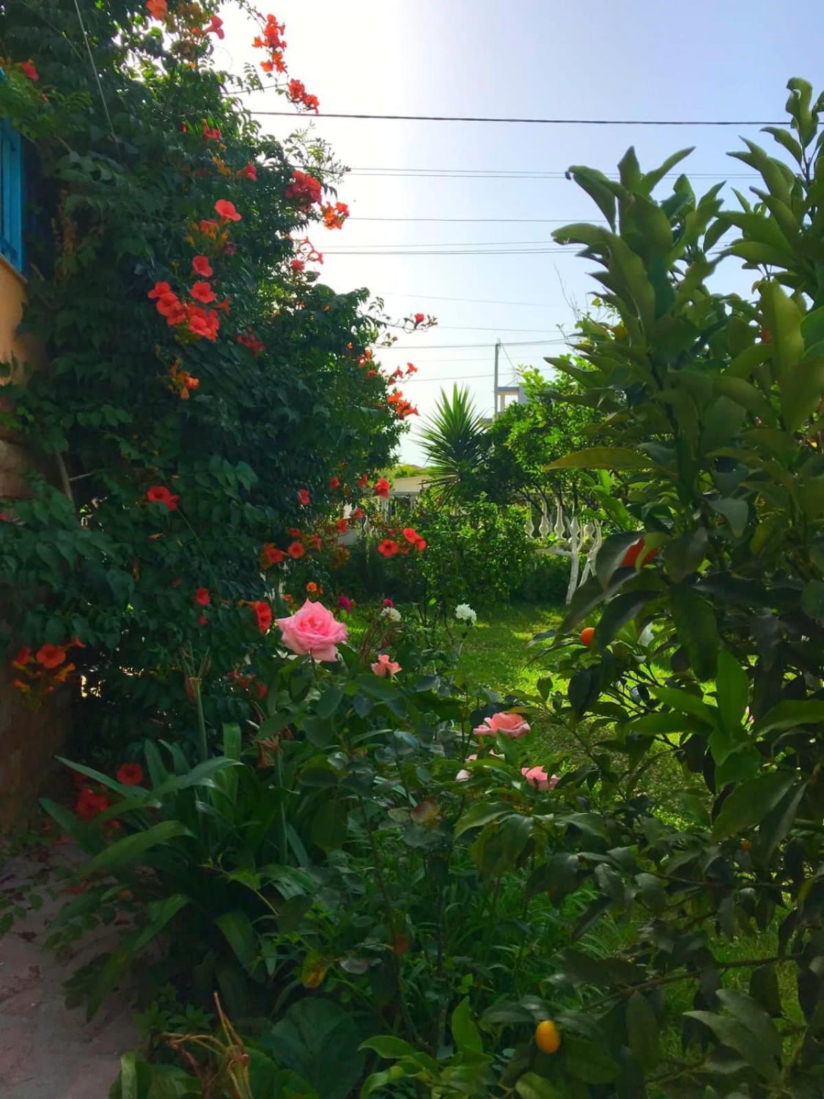 Laura Guest House
