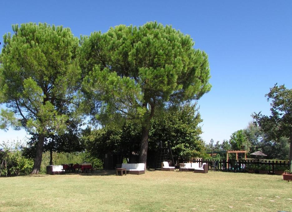 Agriturismo Ca'de'Gatti