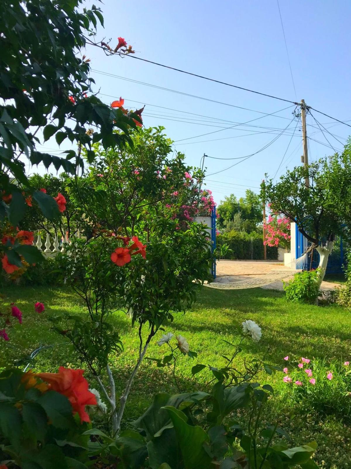 Laura Guest House