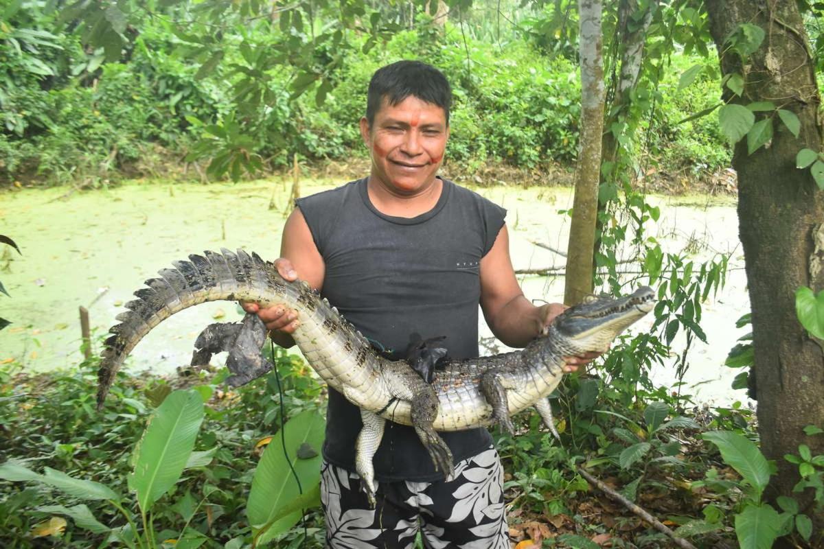 Marupa Expeditions Amazon Tours