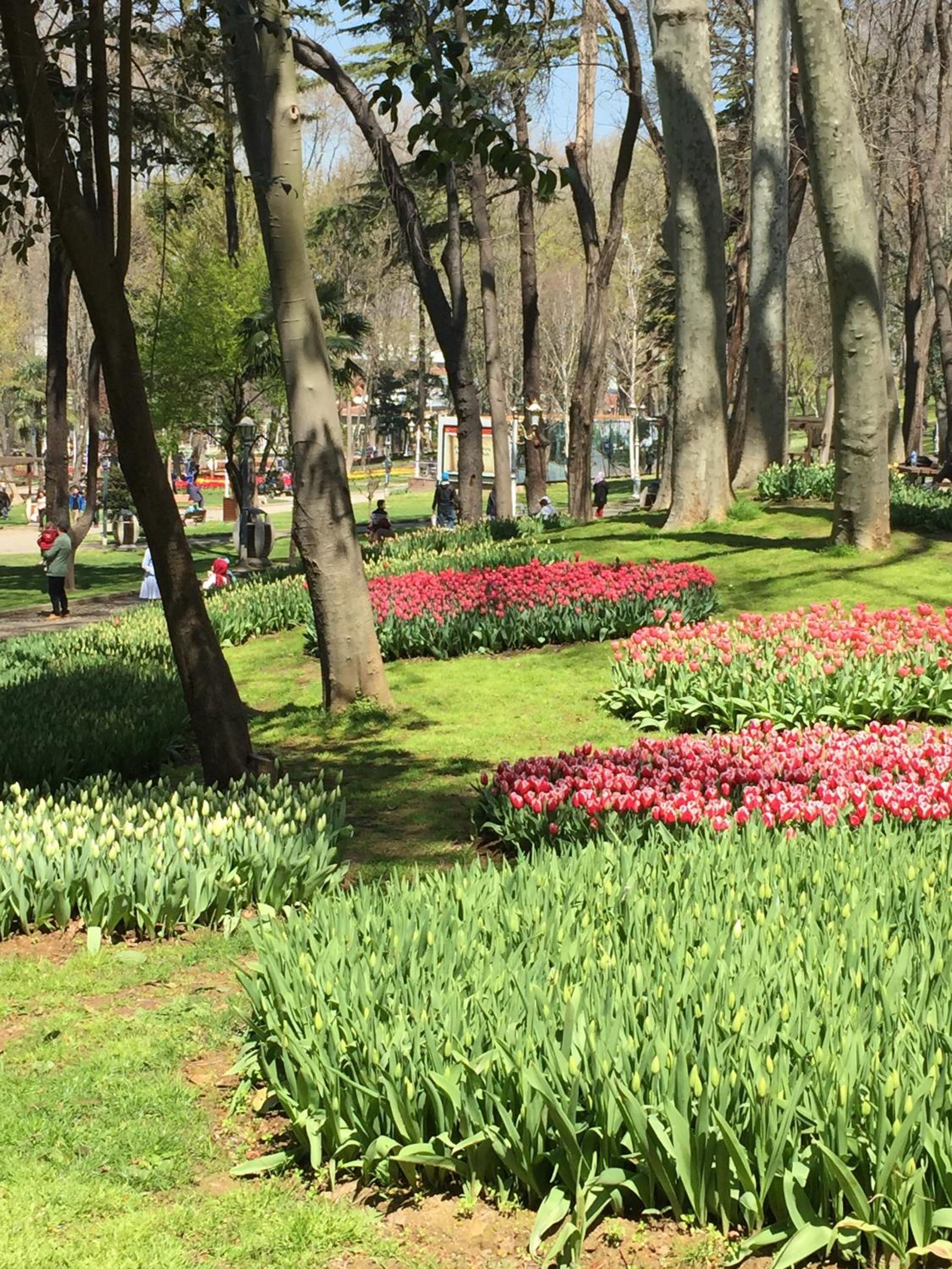 Barbera Otel - Image 69