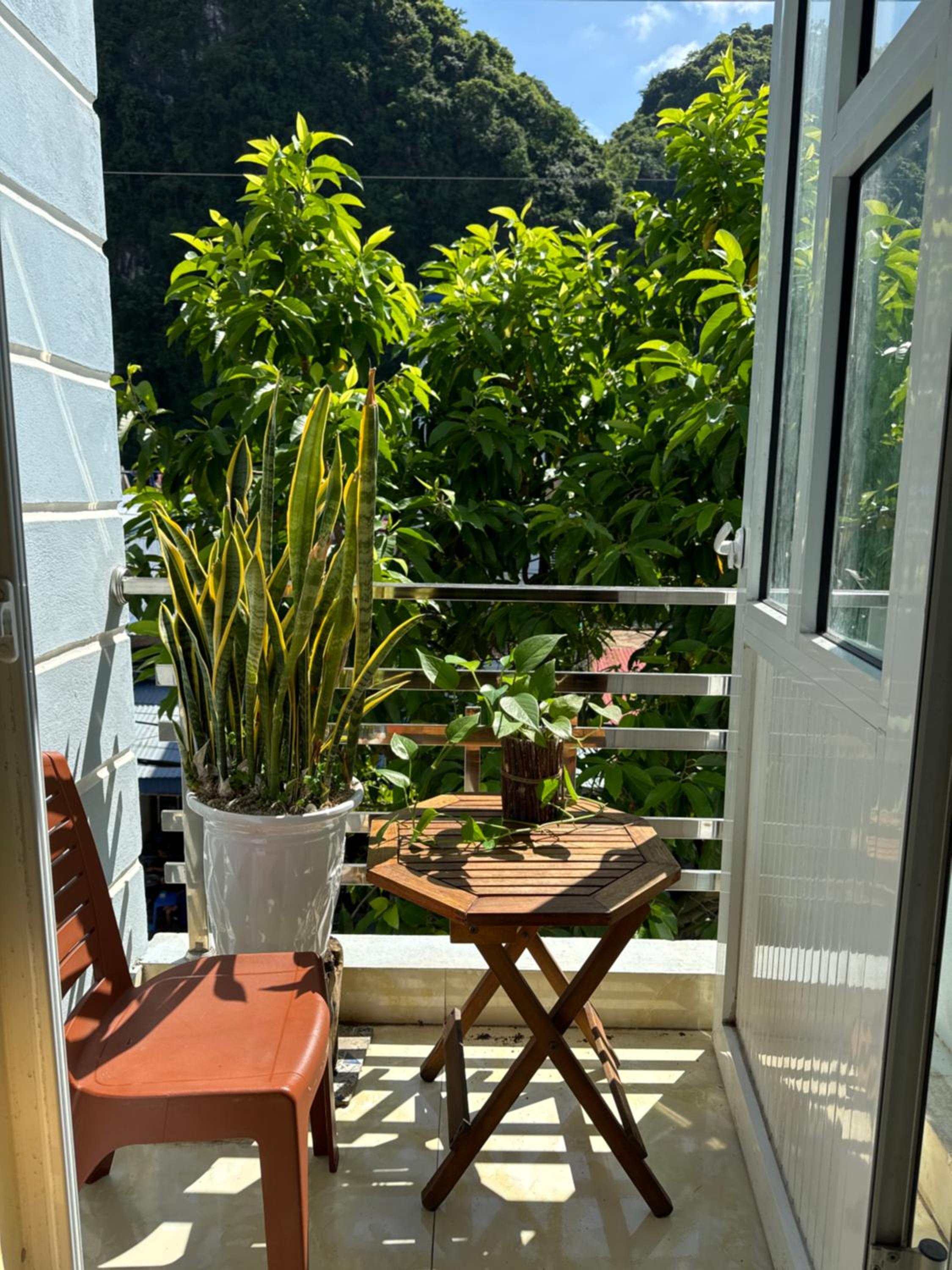 balance & terrace