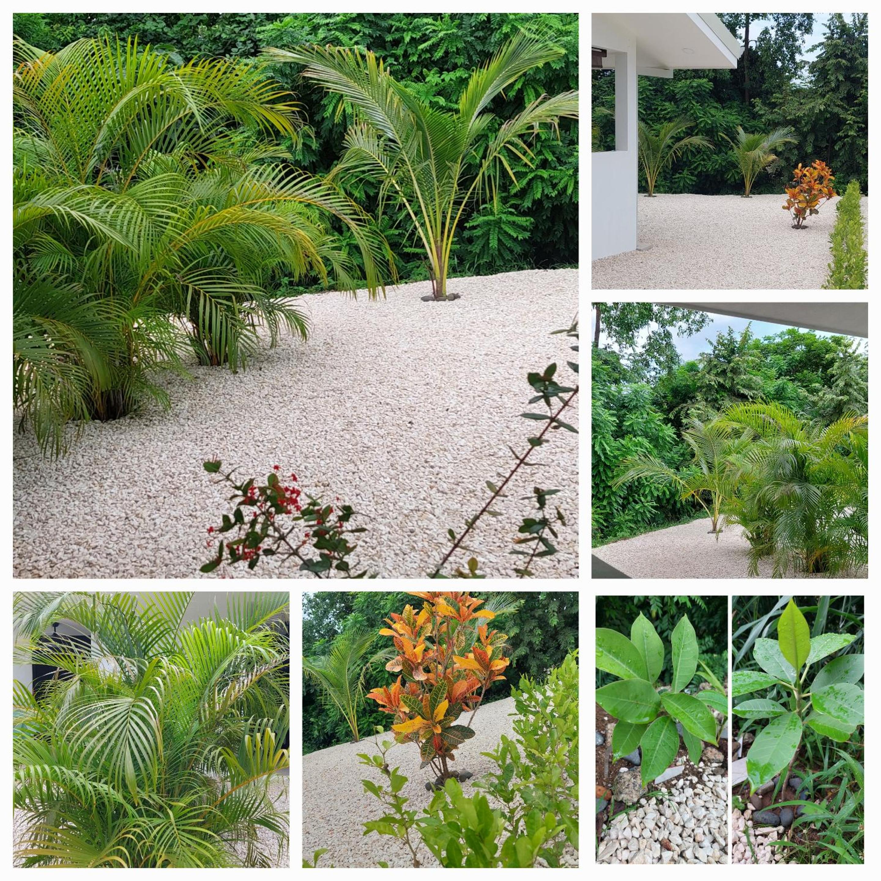 Casa Motmot