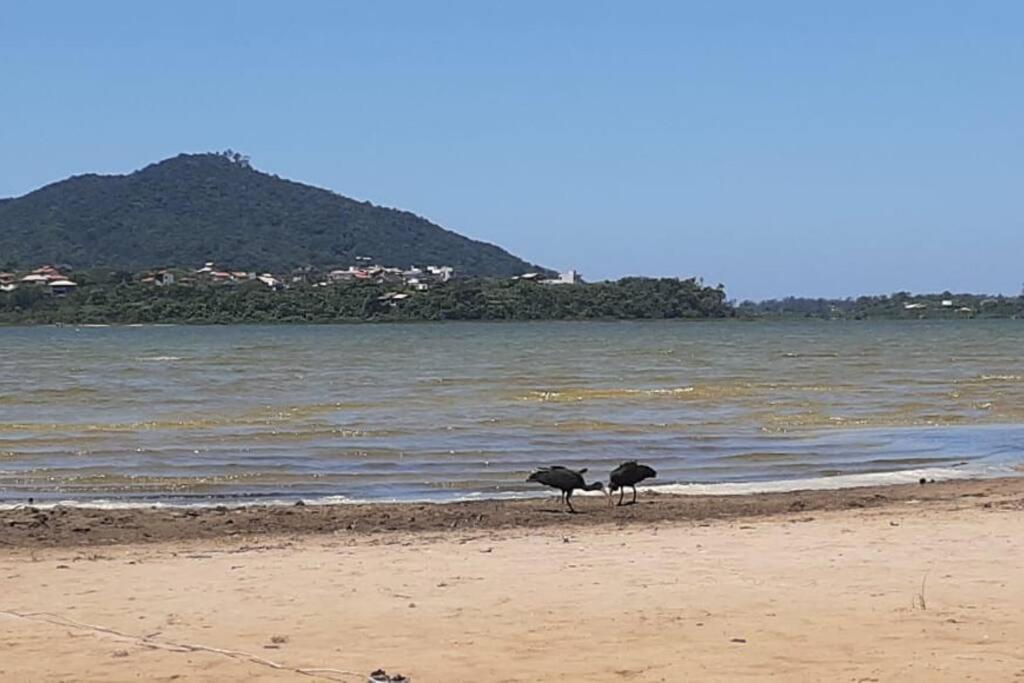 Kitnet Albatroz Hospedaria- Lagoa da Ibiraquera