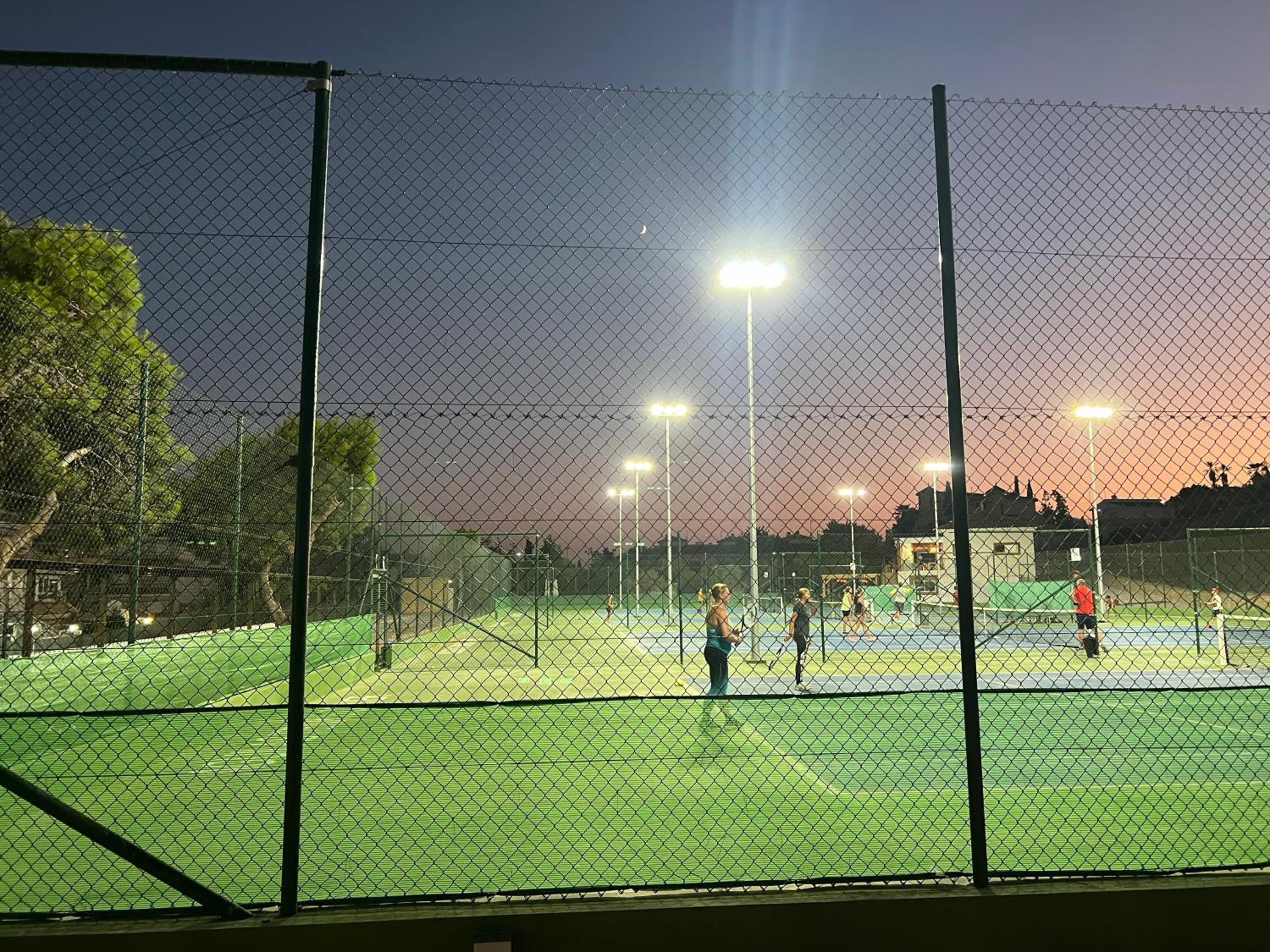Photo 8