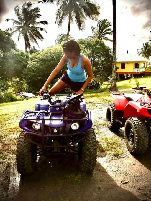 Zephyr Villa with Hot Tub - Beach, Falls,Pitons, Mud Bath view 4