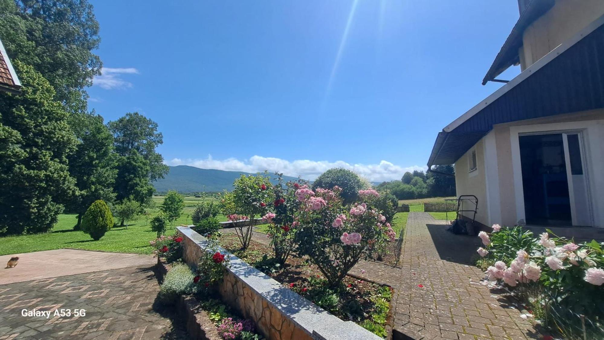Apartman Kristina