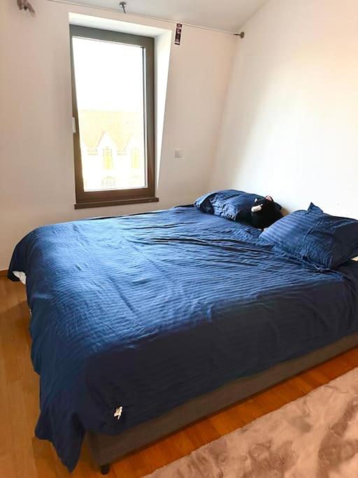 160m2 Penthouse in the City Centre with a balcony and the city view view 5