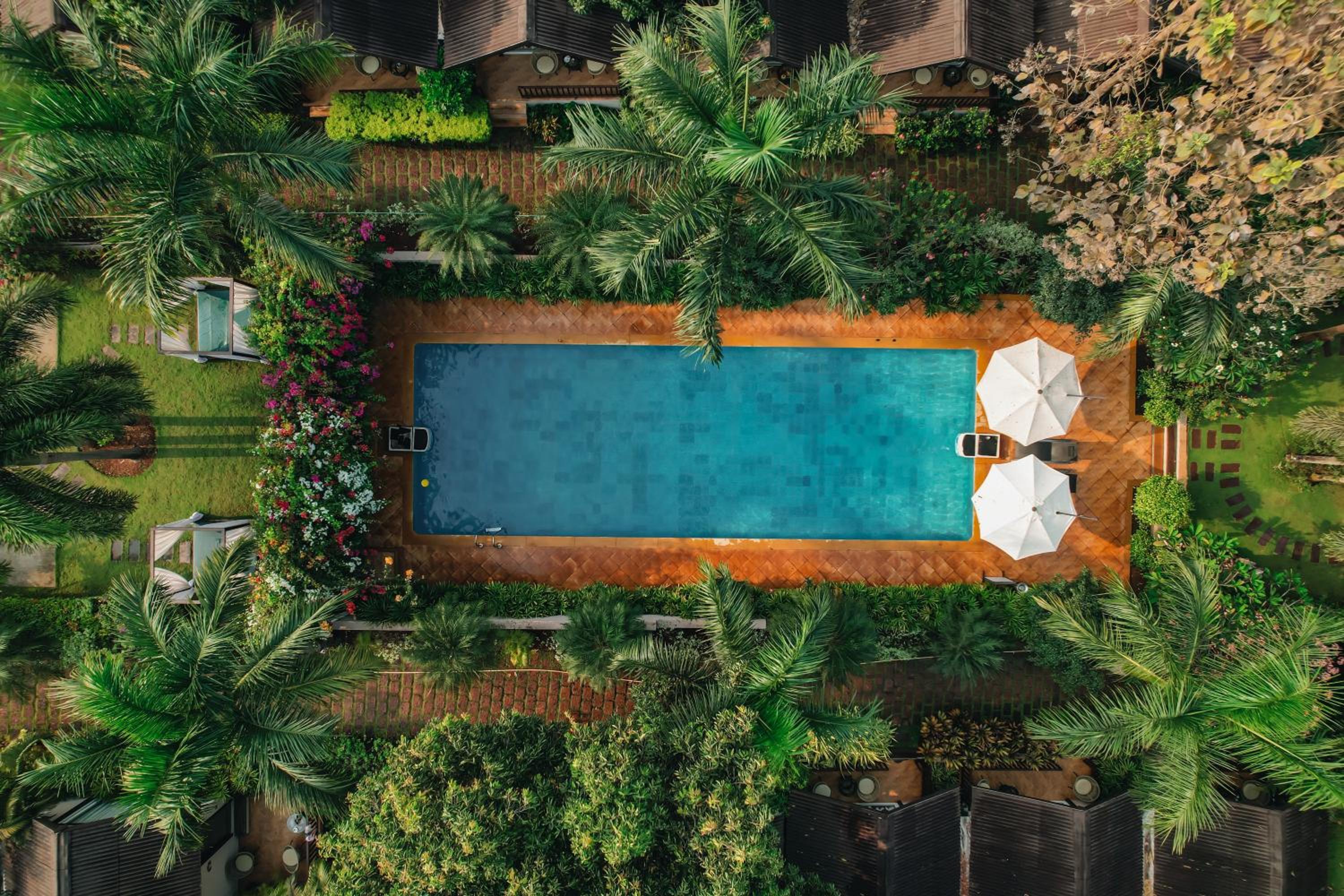 Stone Wood Resort, Mandrem view 4