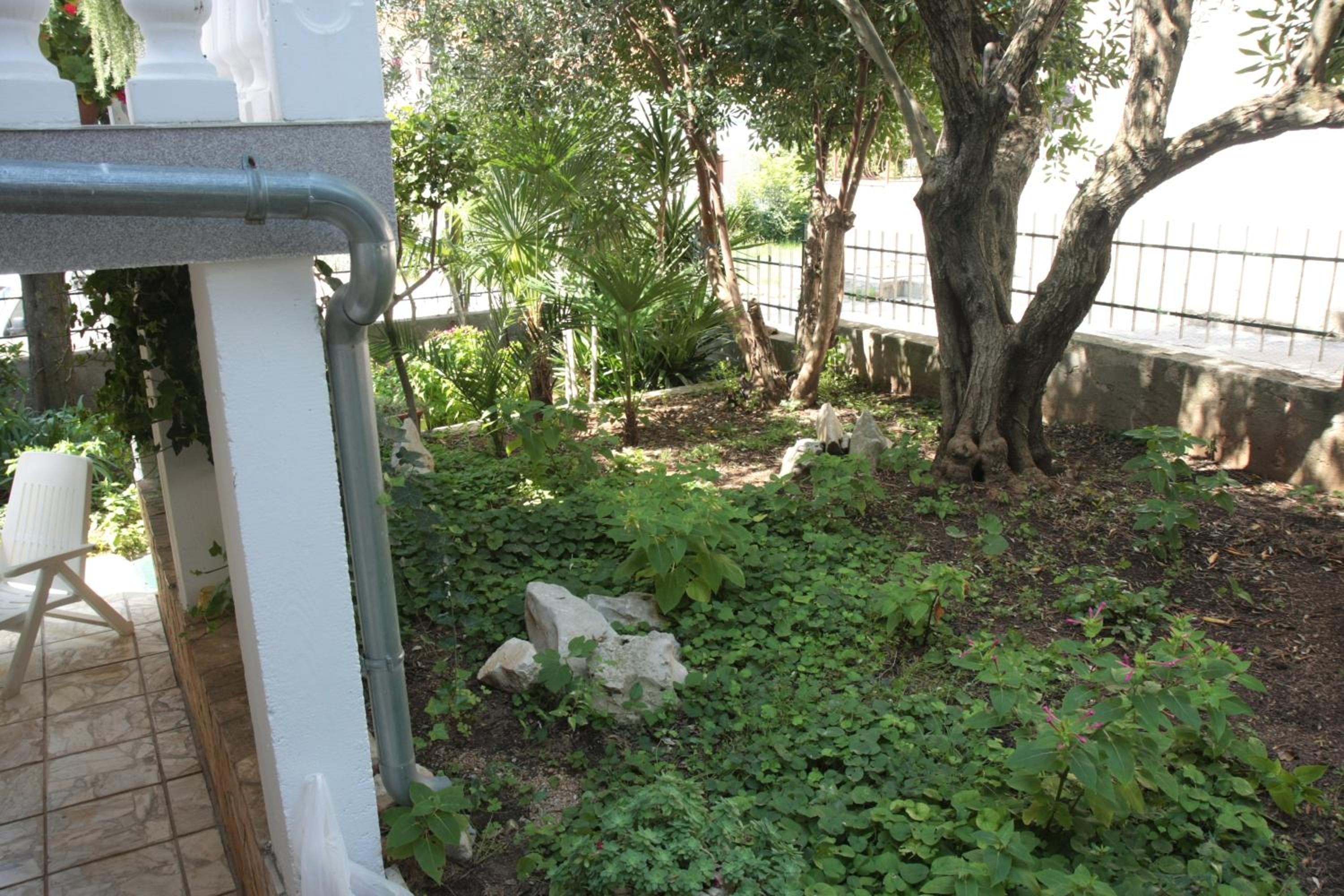 Photo 61