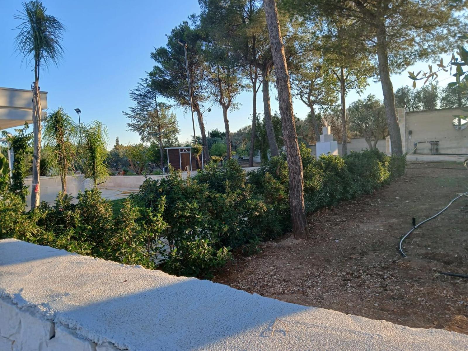 Photo 23