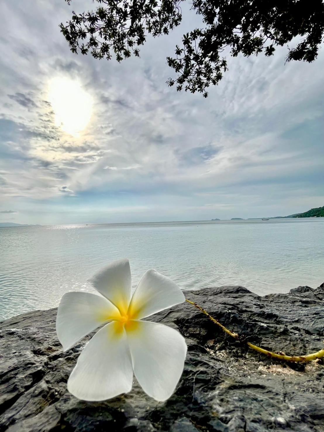 Sunset Beach Villas