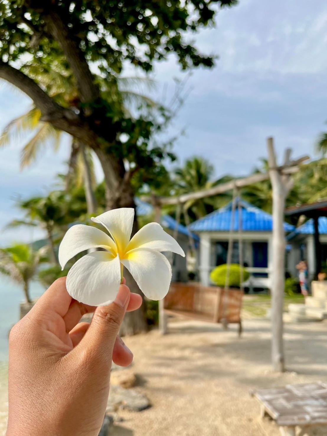 Sunset Beach Villas