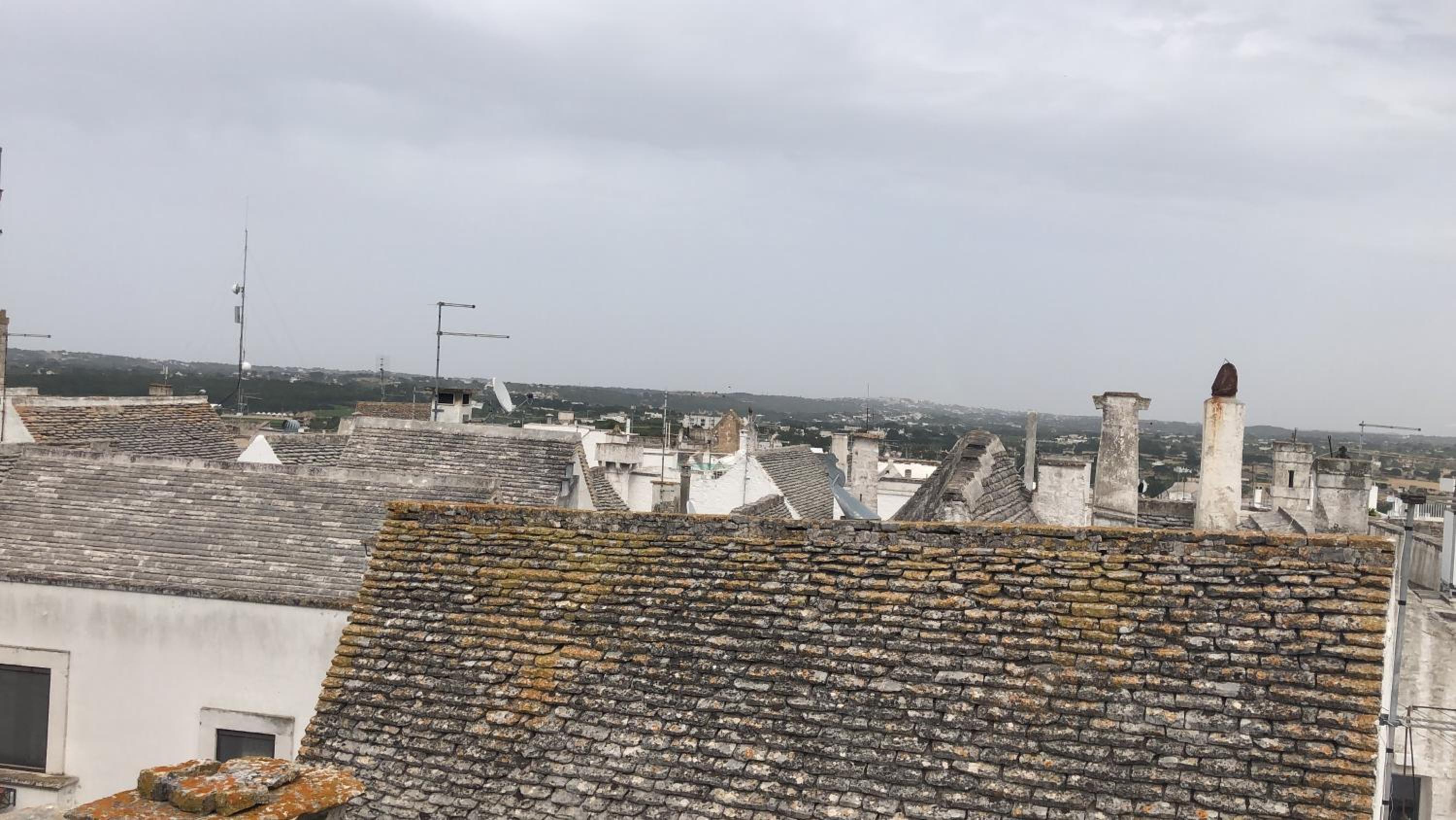 roof