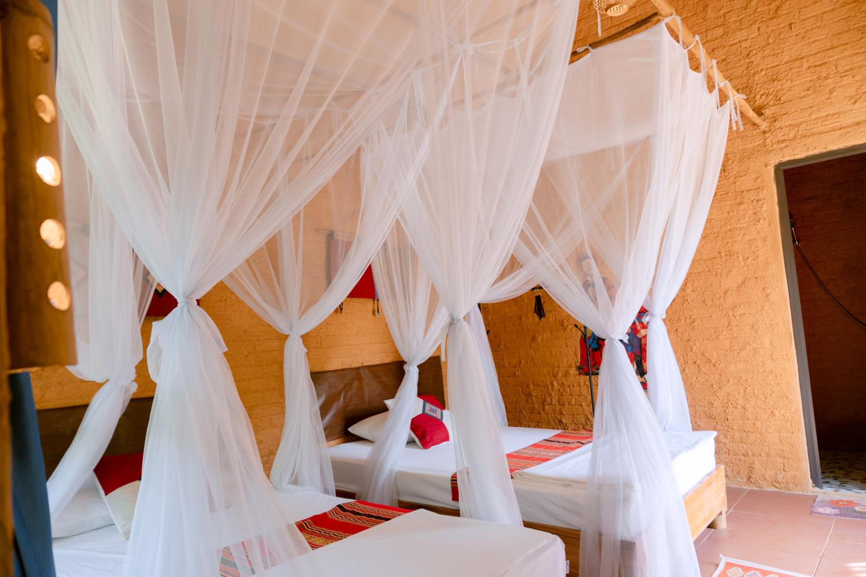 Photo 50