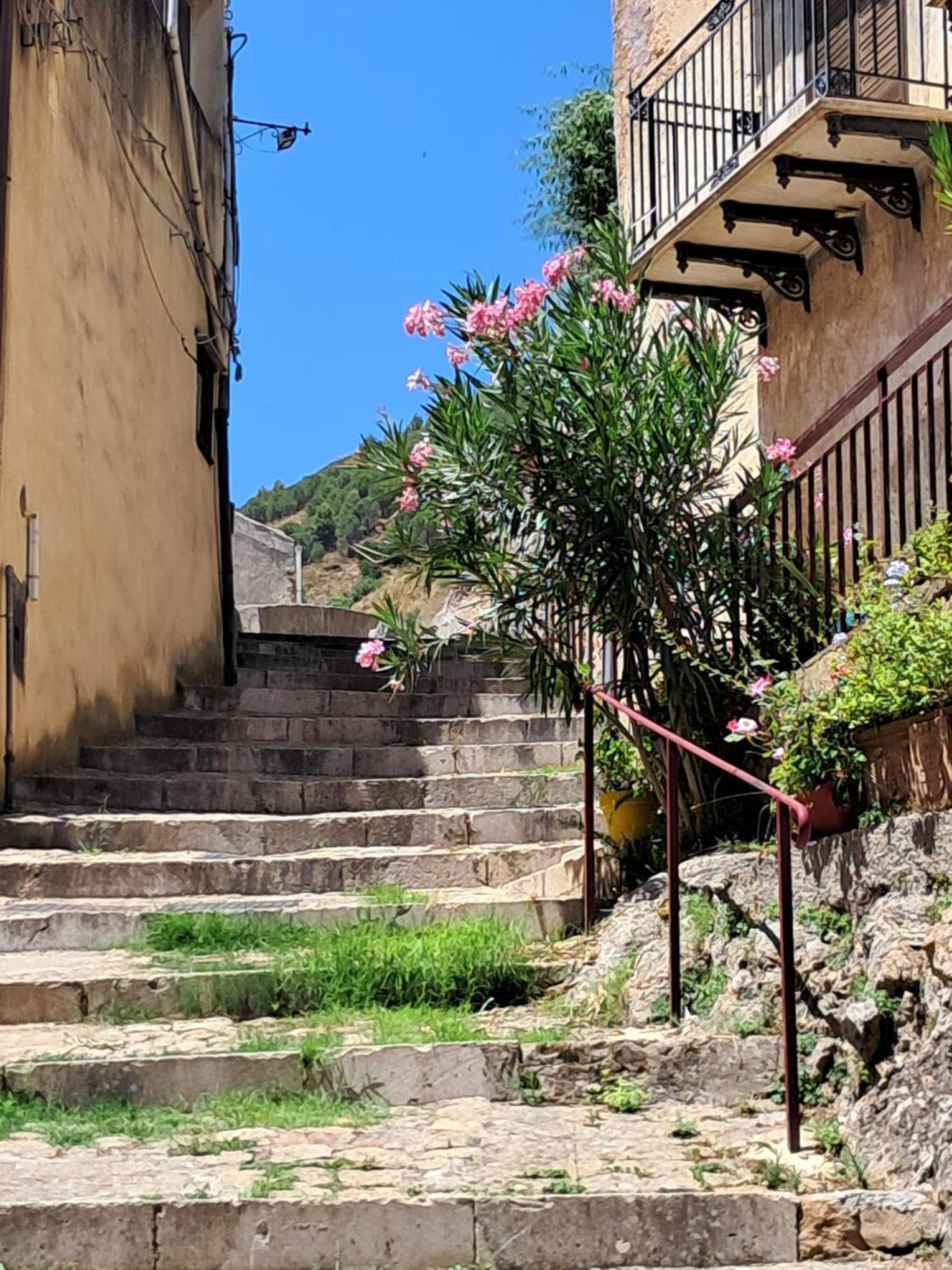 Dolce-Giardino
