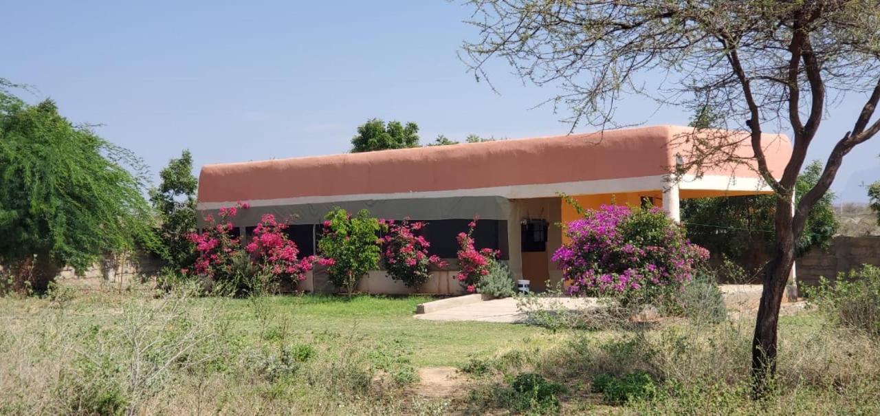Samburu Dik-Dik Lodge view 3