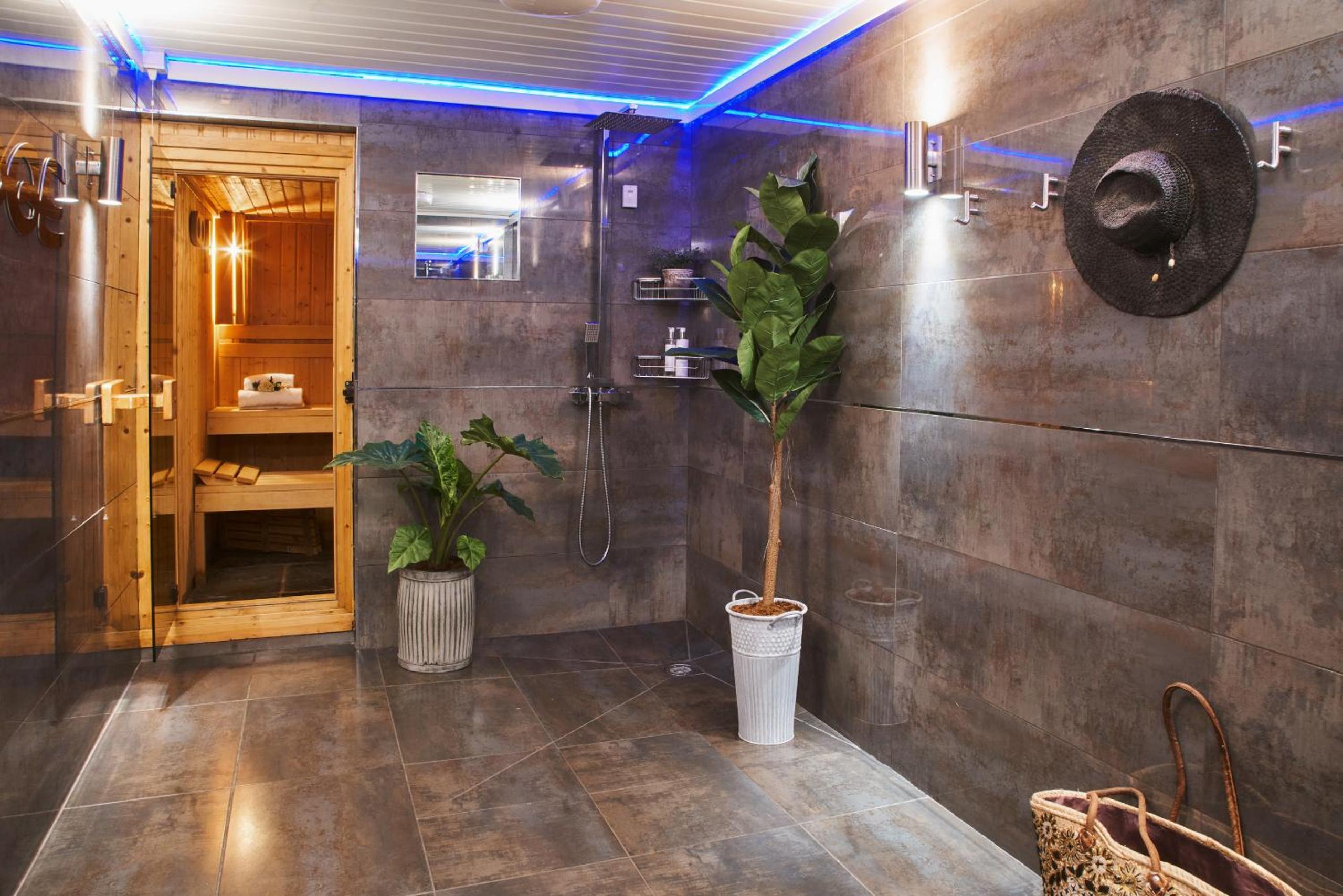 Swallows End - Apartment with hot tub, sauna and pool (Dartmoor)