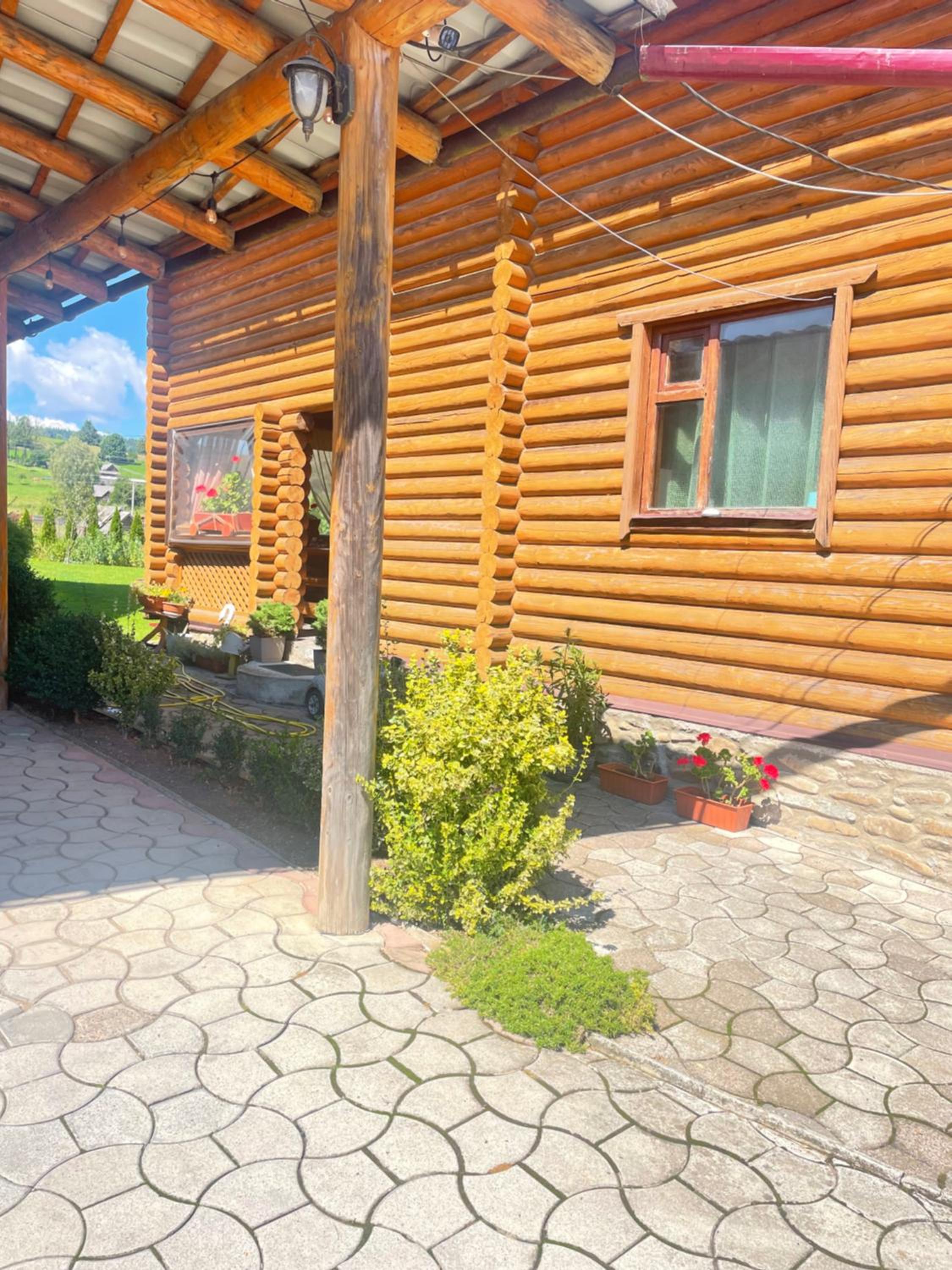 Cottage in Yasinya view 3