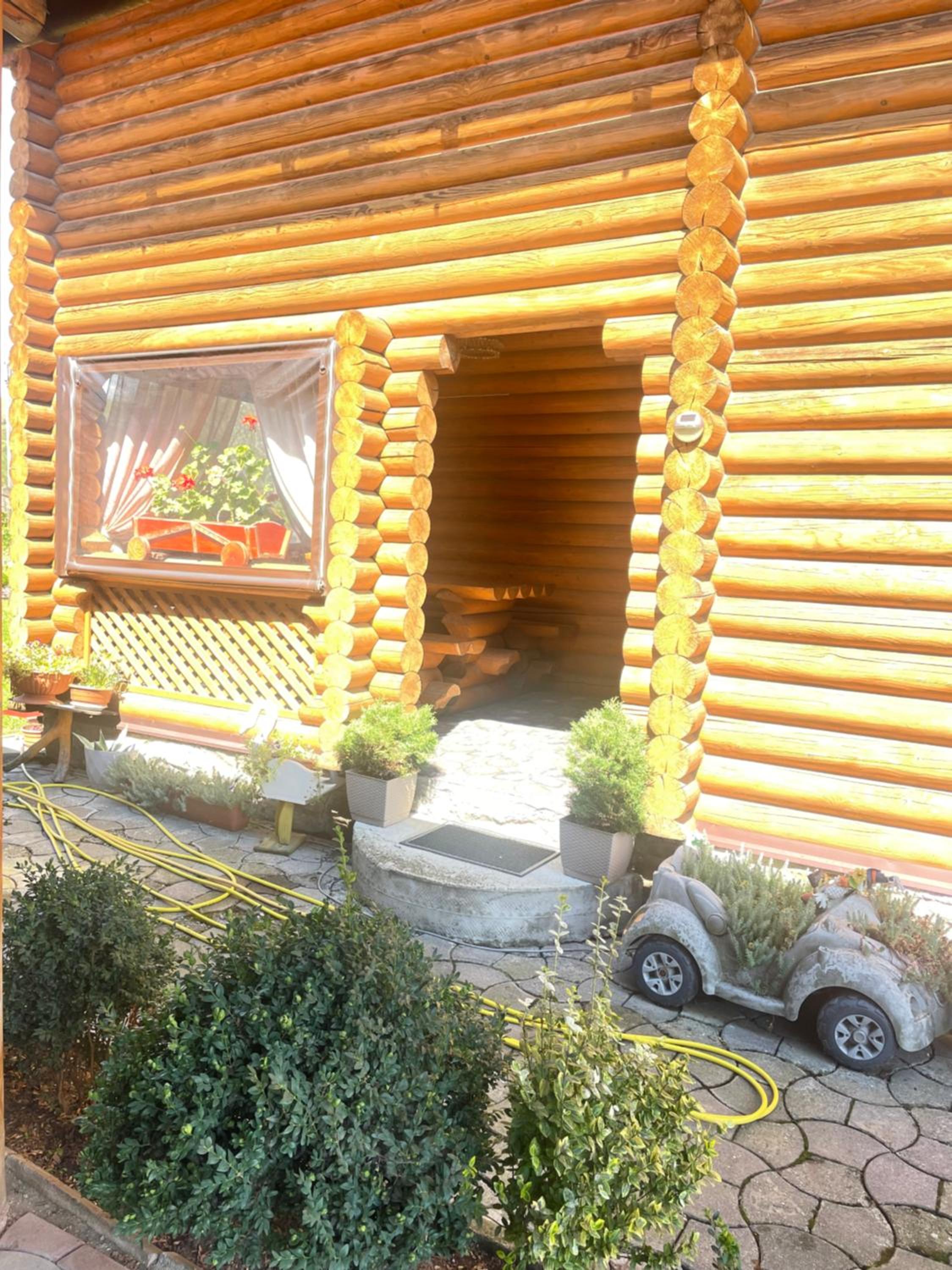 Cottage in Yasinya view 2