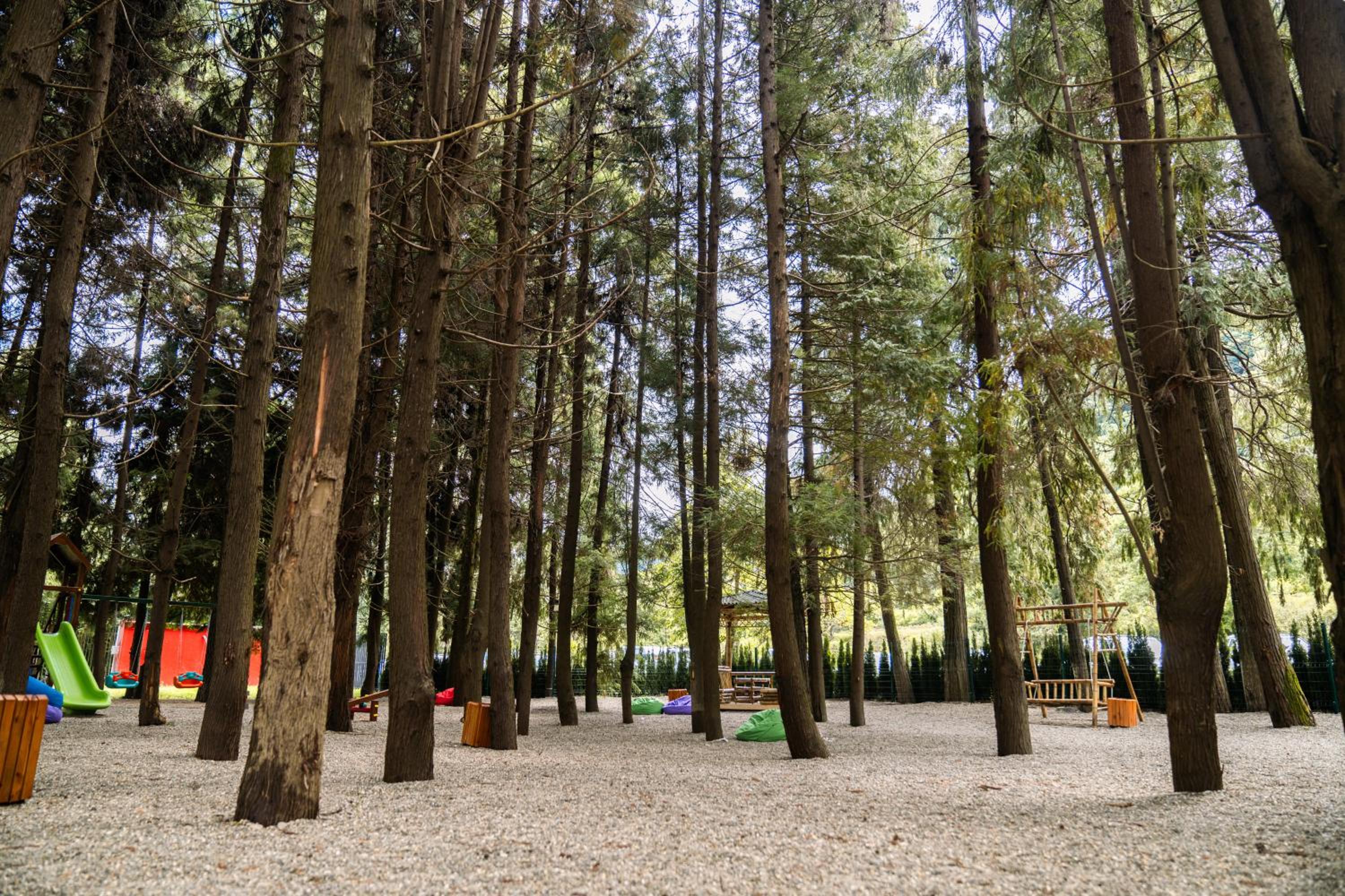 Tsikhisdziri Apartments at bamboo