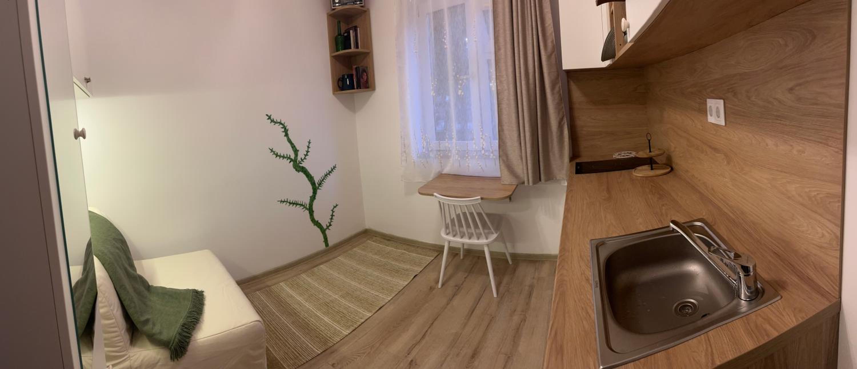 Mimosa Studio view 3