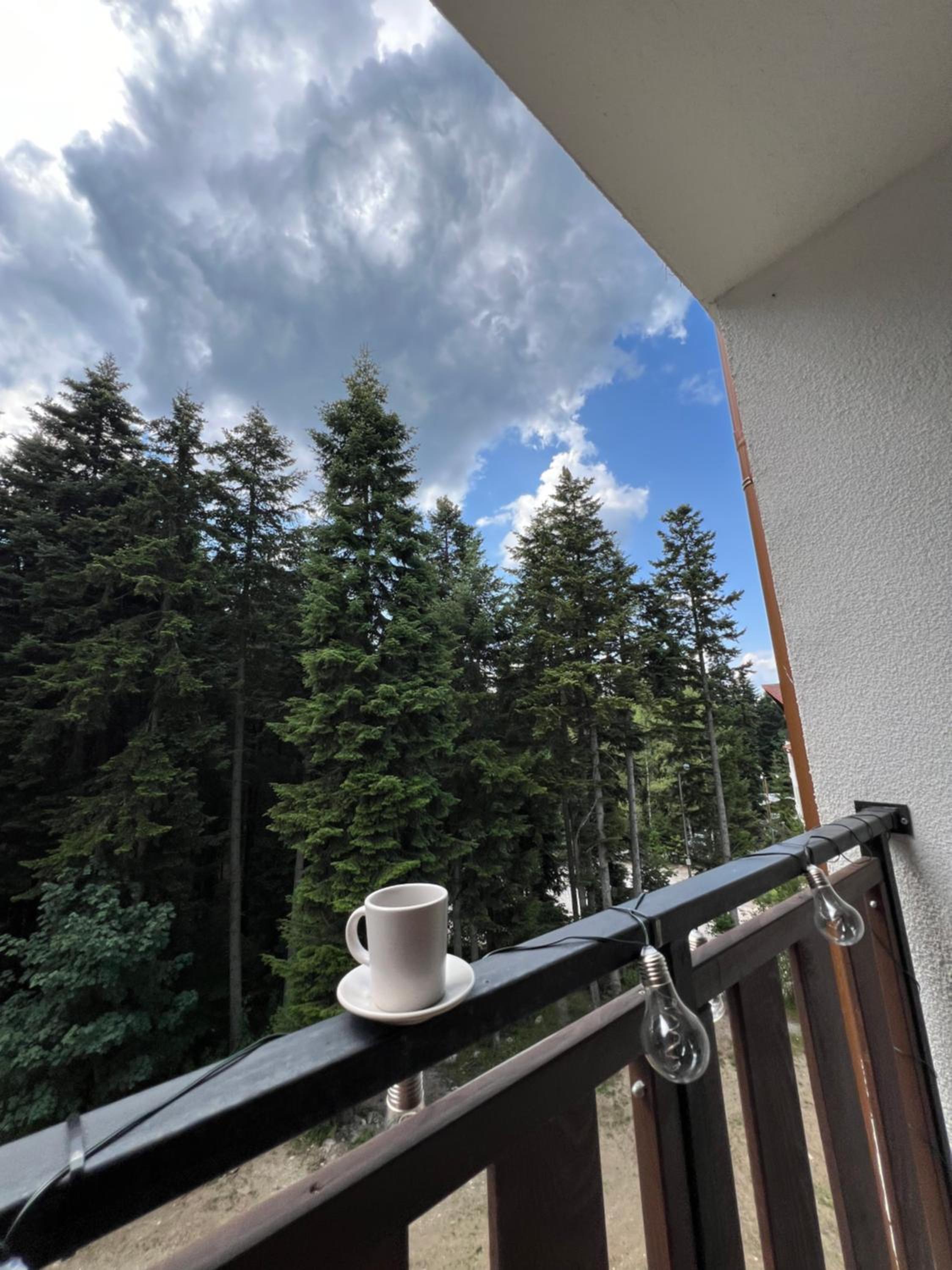 Borovets Gardens Apartment B15