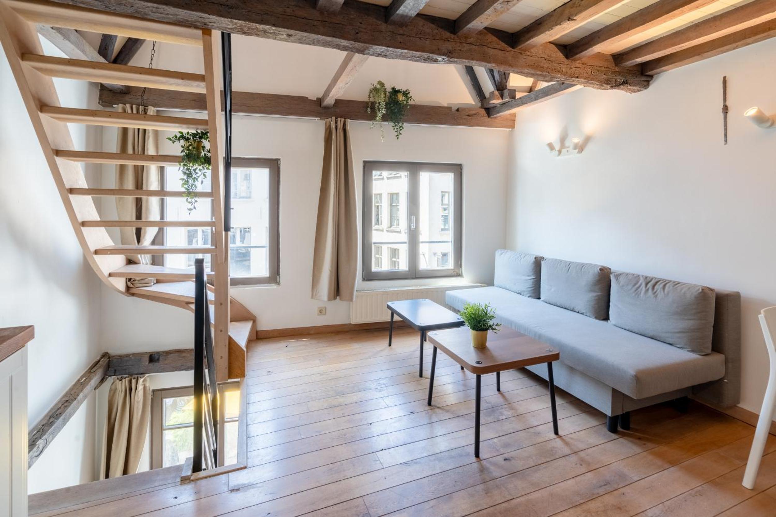 Temple Triplex Spacious Apartment view 5