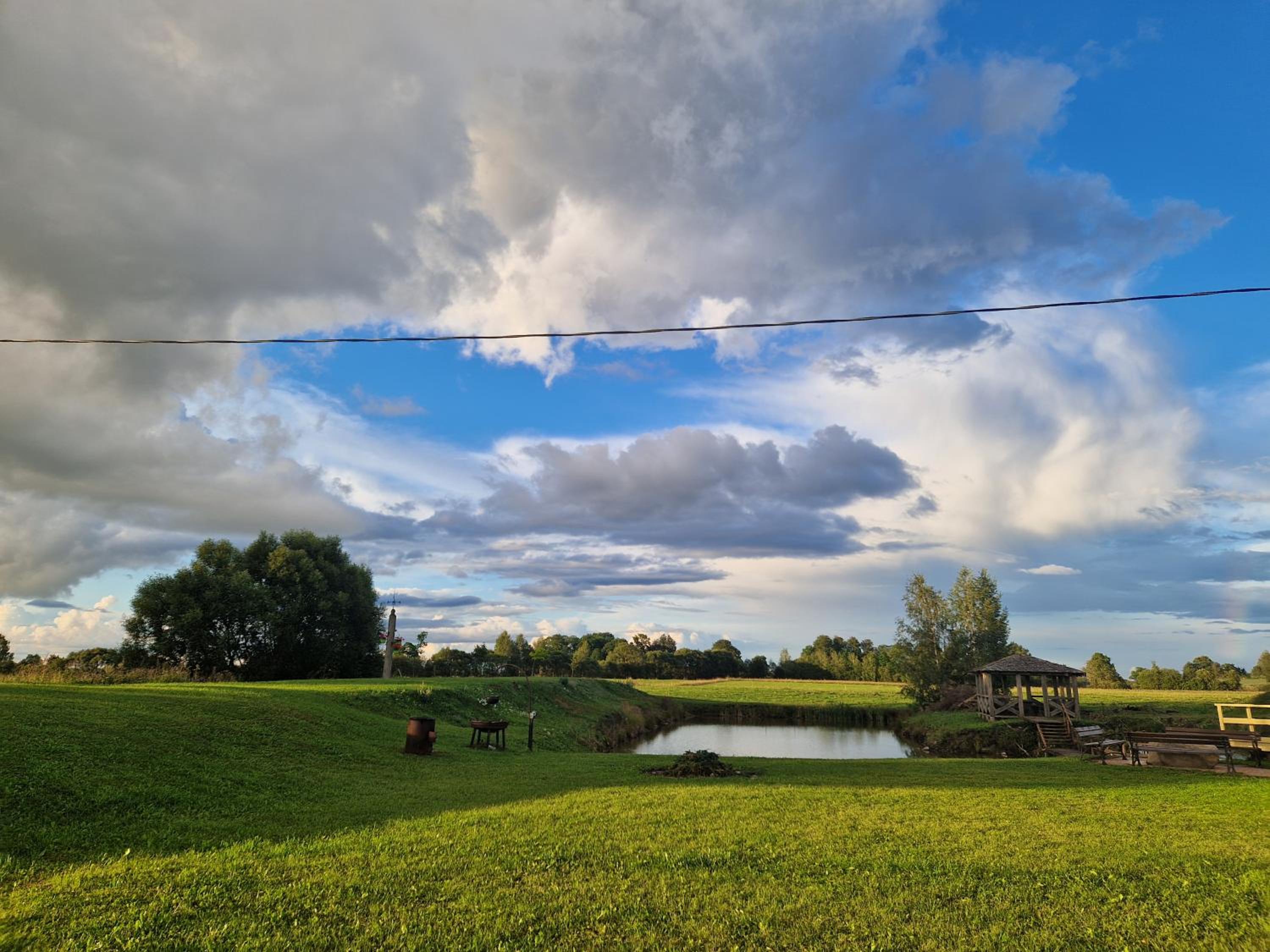 Cielavas ligzda