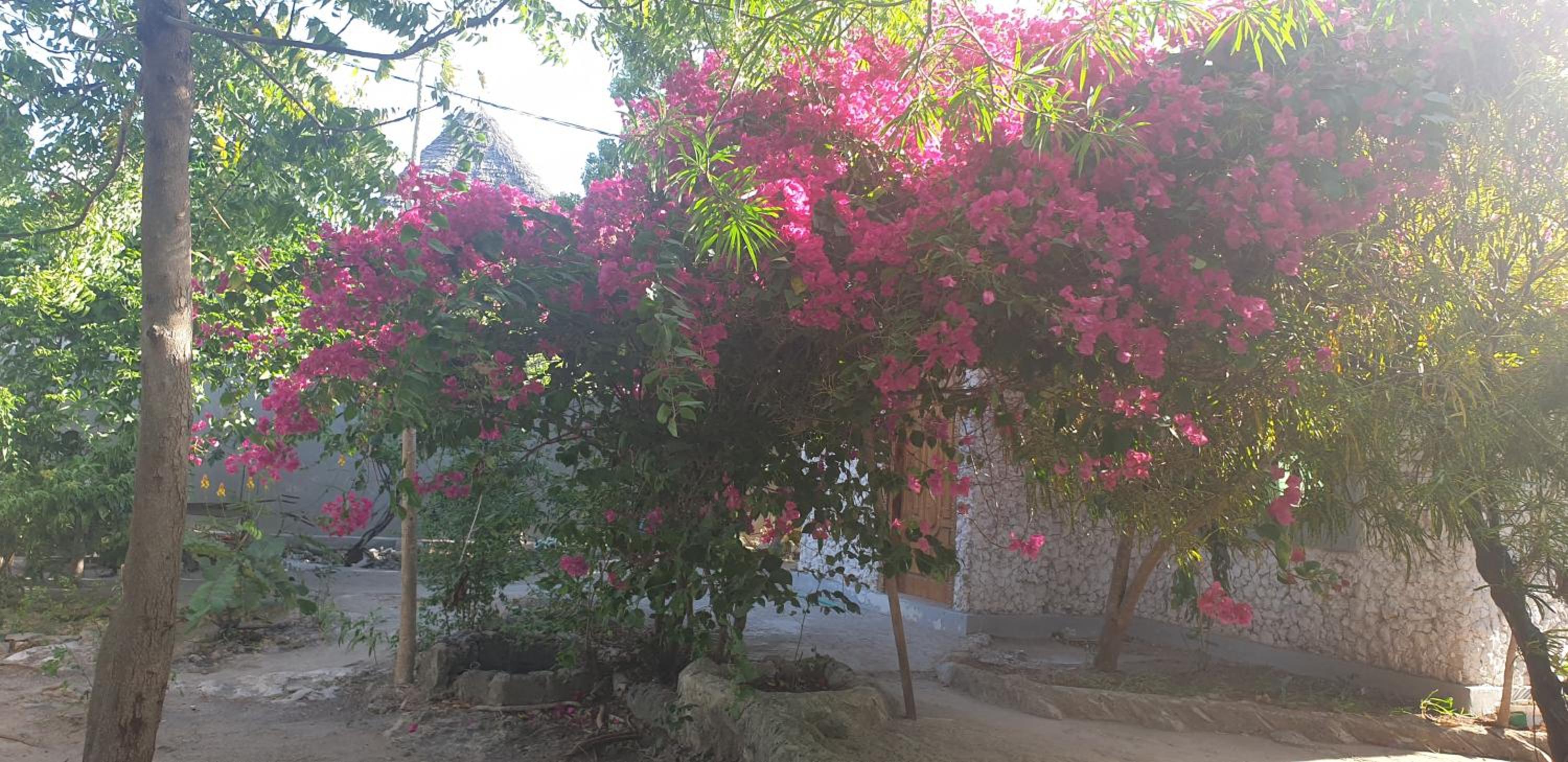 Jawda Villa