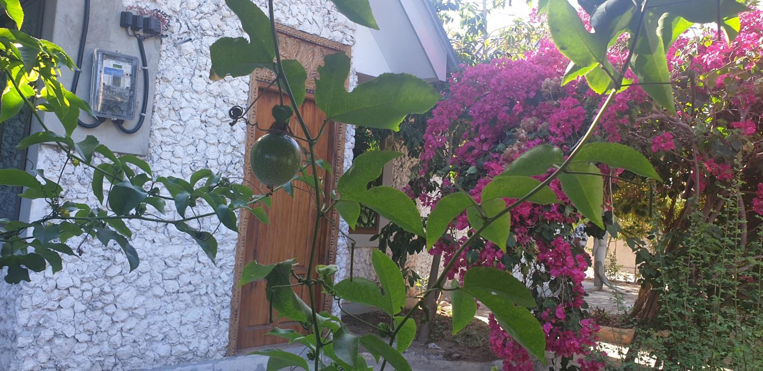 Jawda Villa