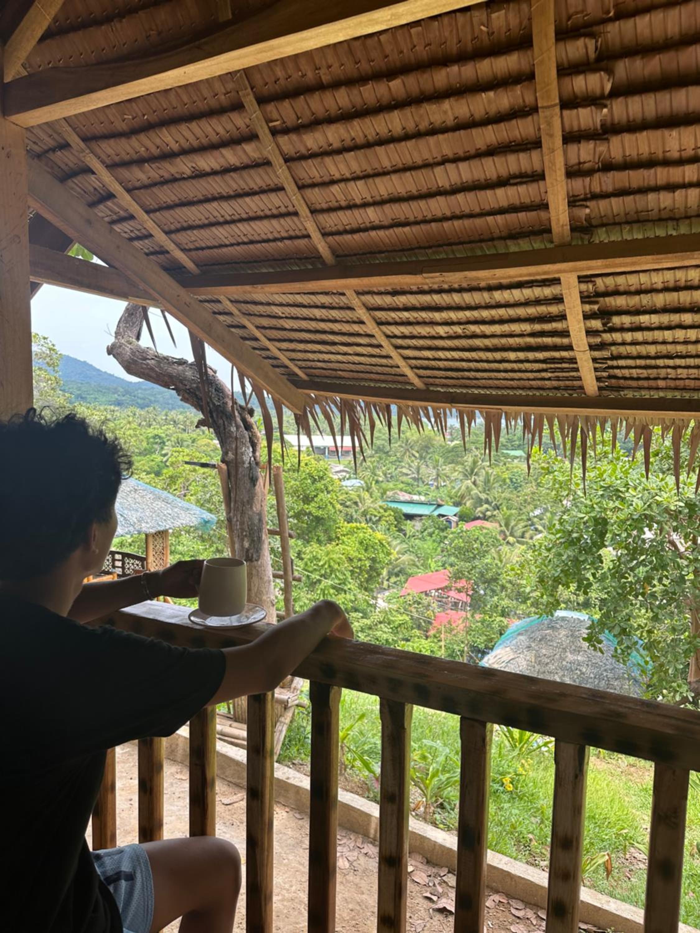 Alta-Cabana view 2