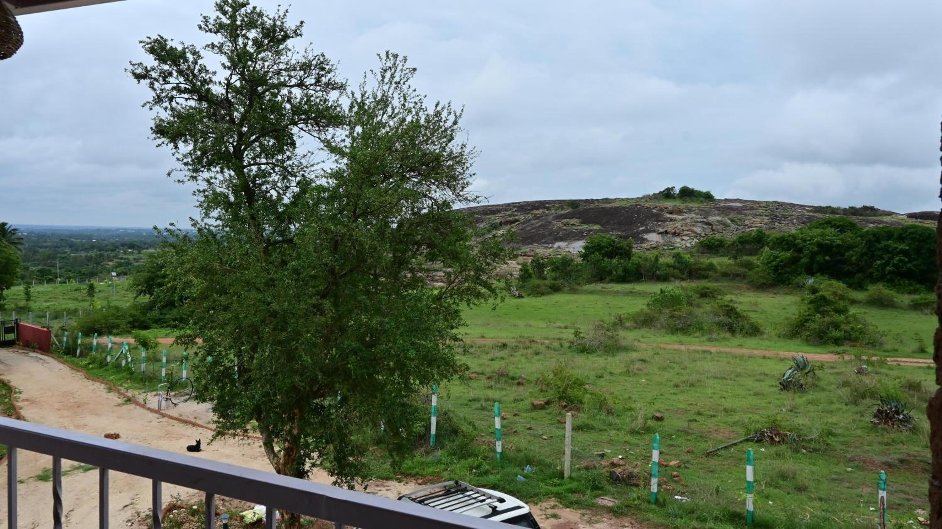 Private Farmstay near Bangalore view 4
