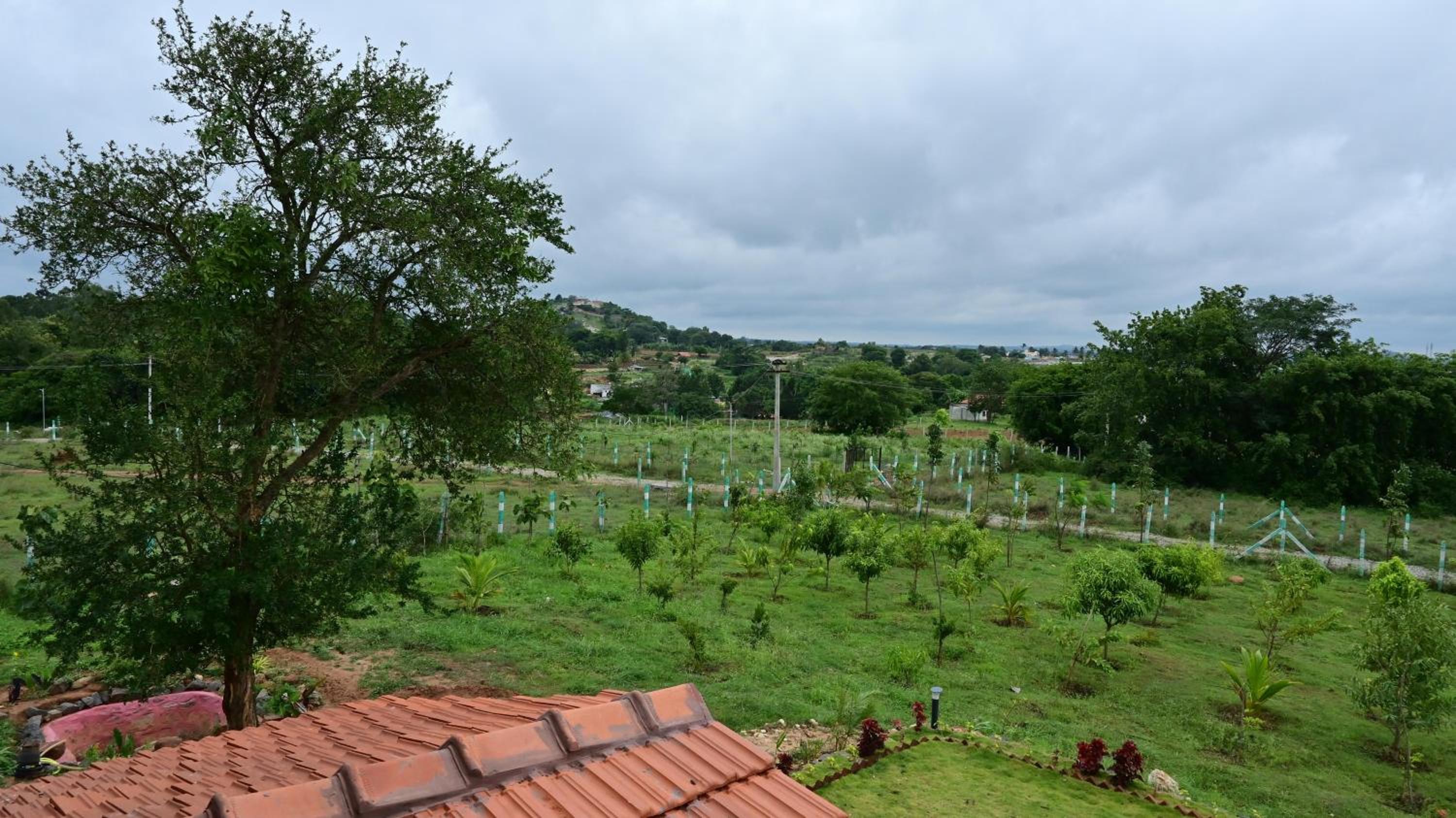 Private Farmstay near Bangalore view 2