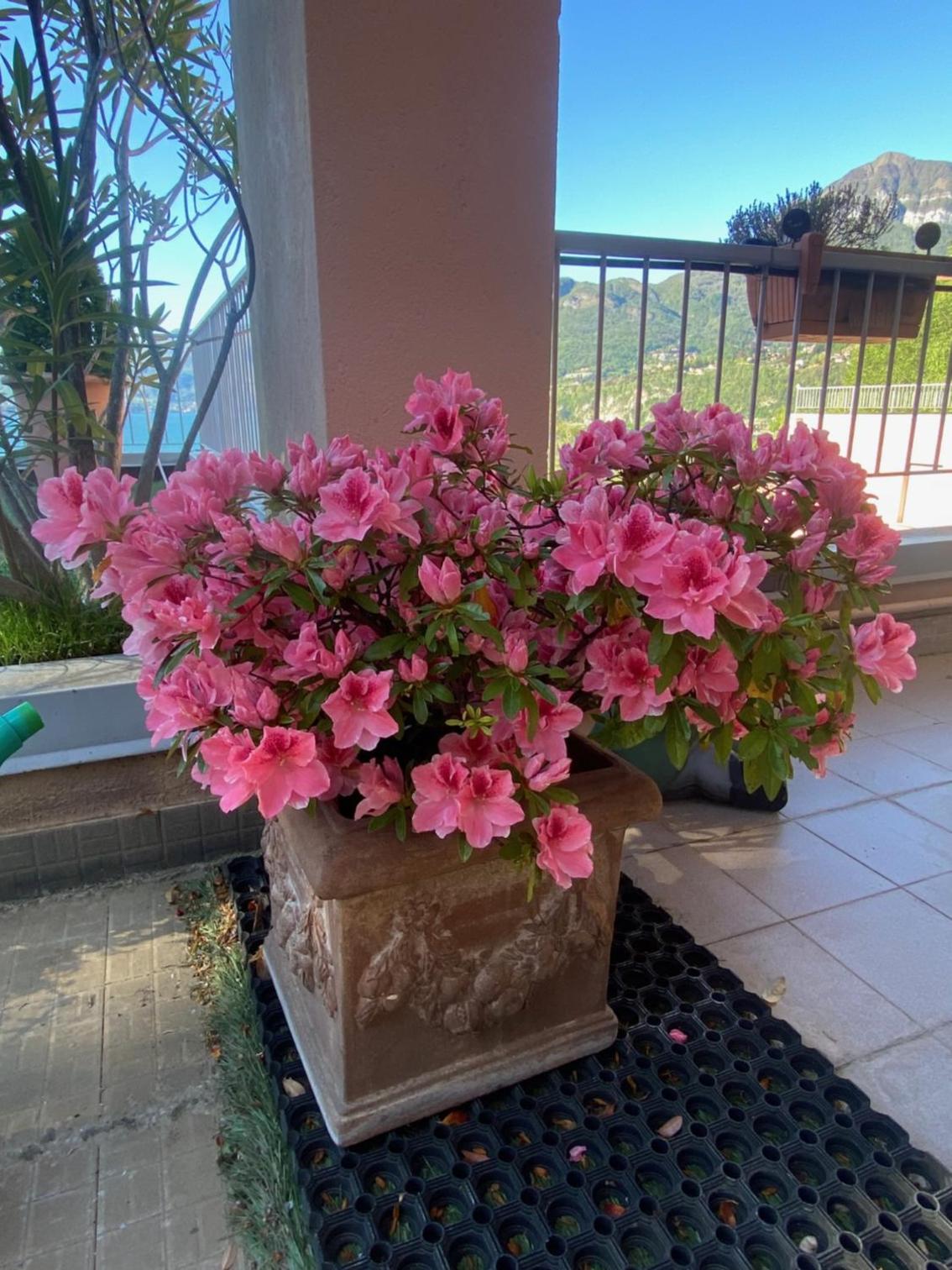 Casa Bella Vista photo 3