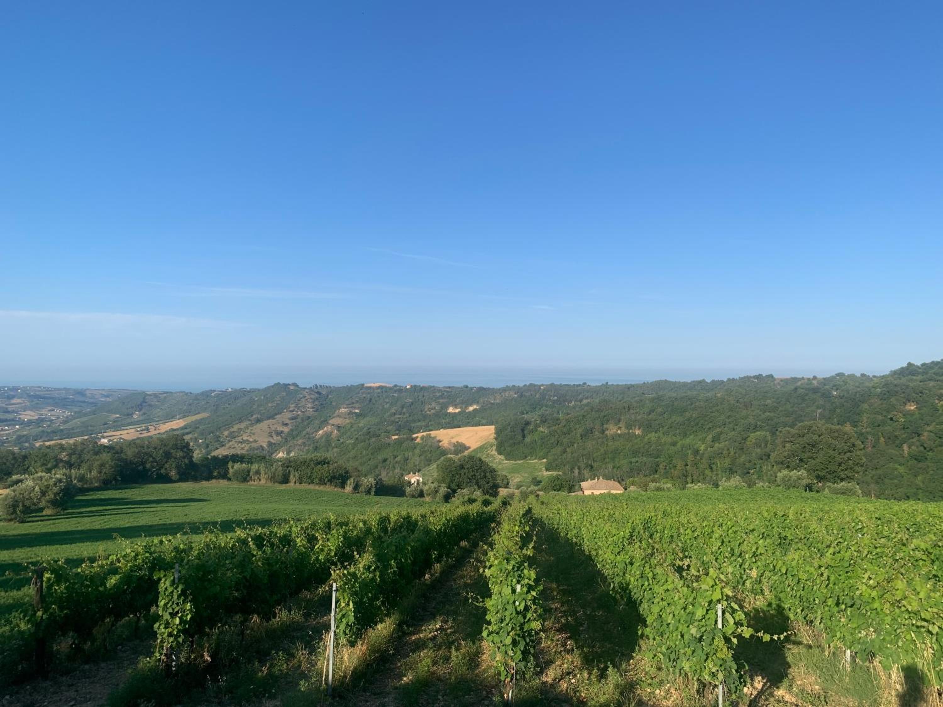 Tra borghi e mare - Ripatransone view 4