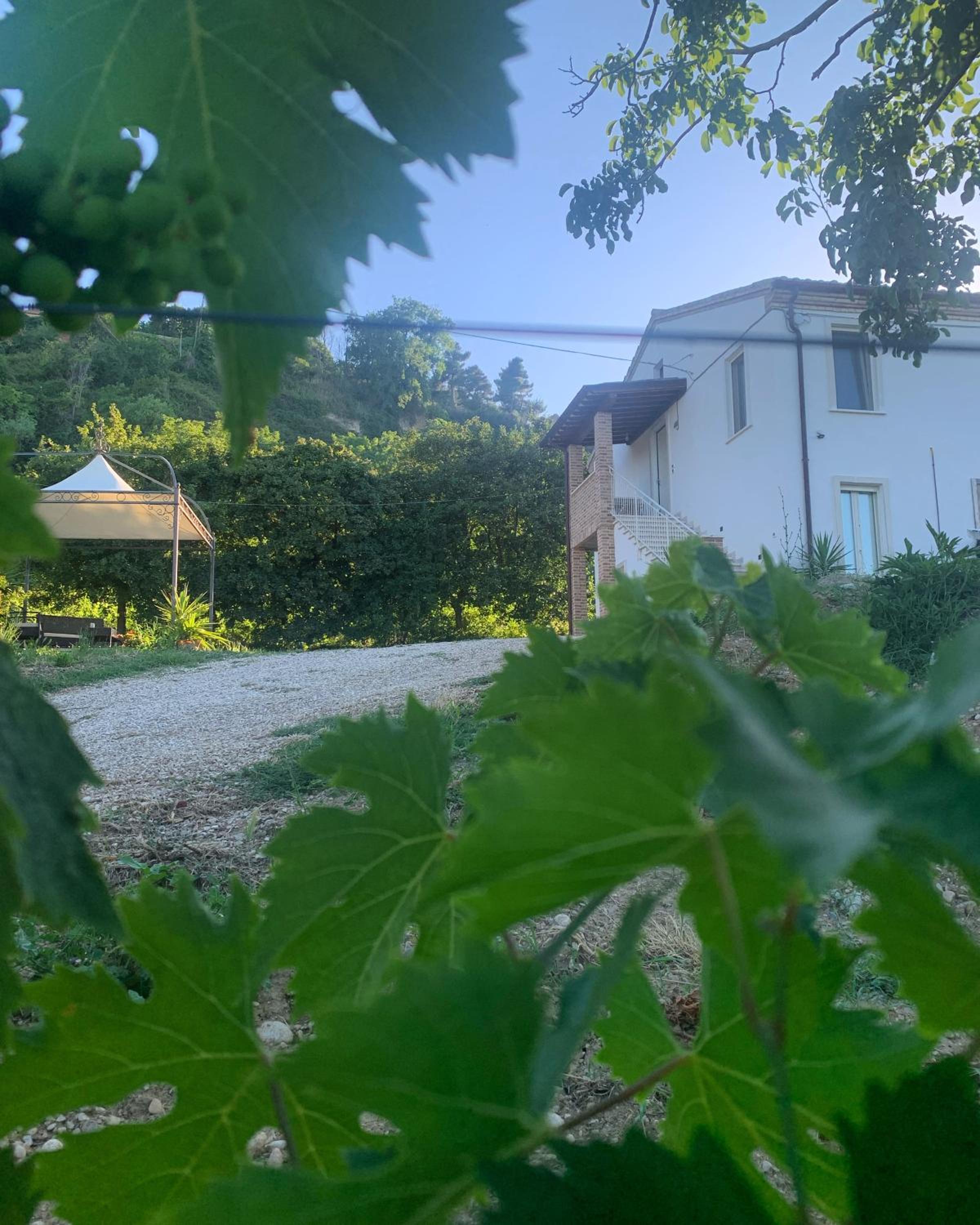 Tra borghi e mare - Ripatransone view 2